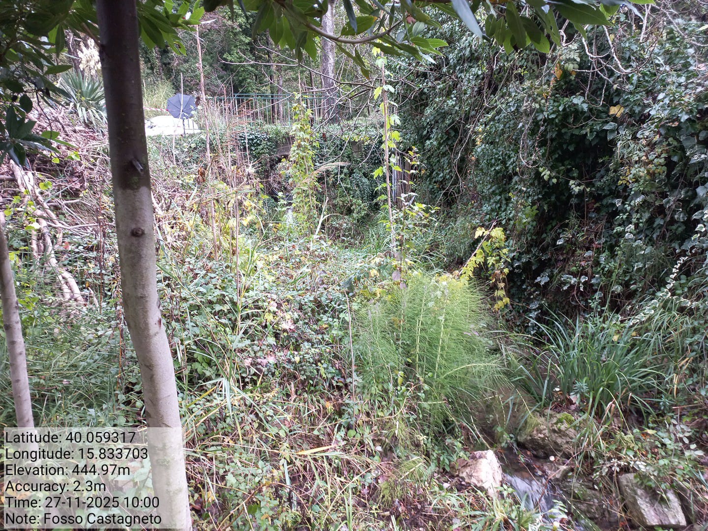 Galleria Fotografica Immagine