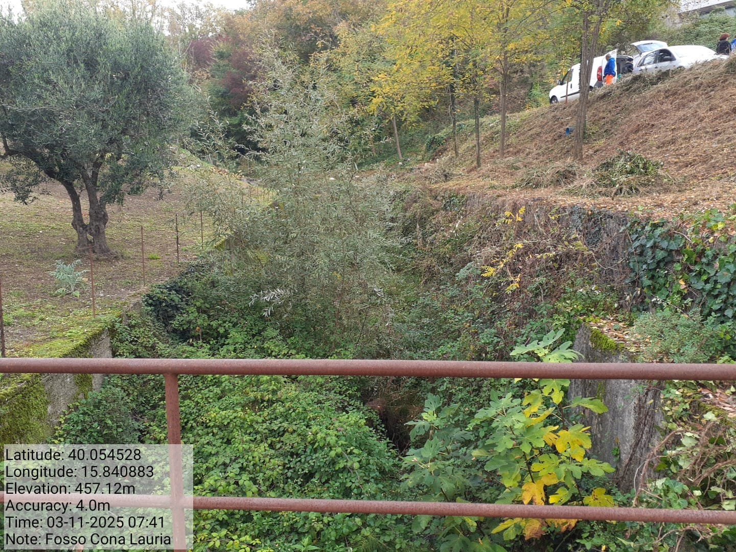 Galleria Fotografica Immagine