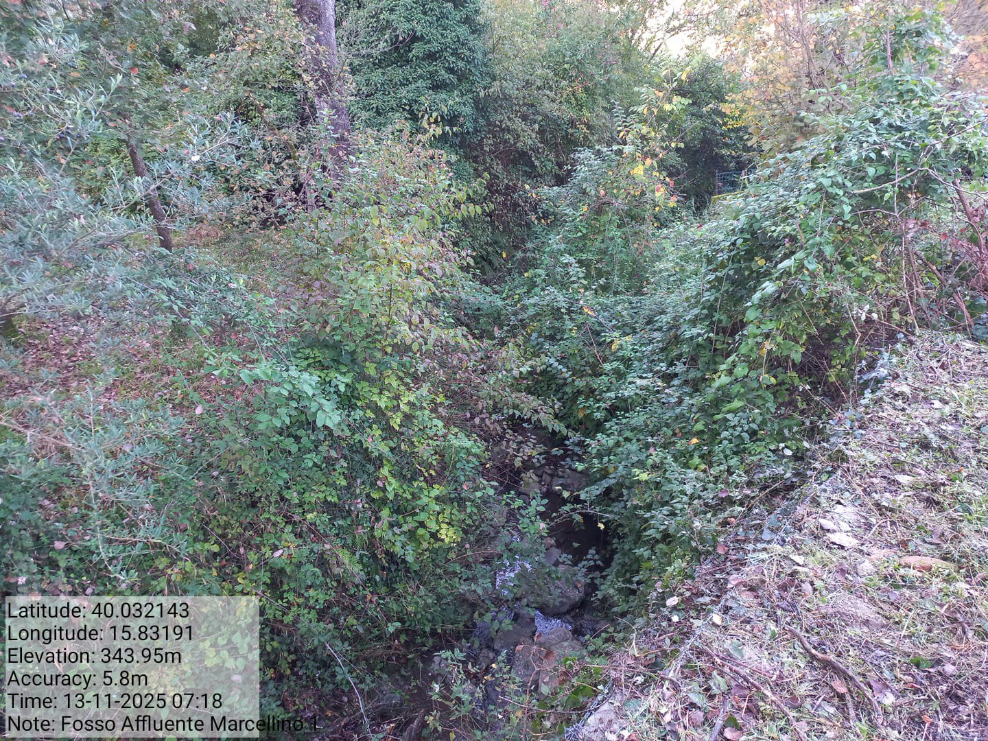 Galleria Fotografica Immagine