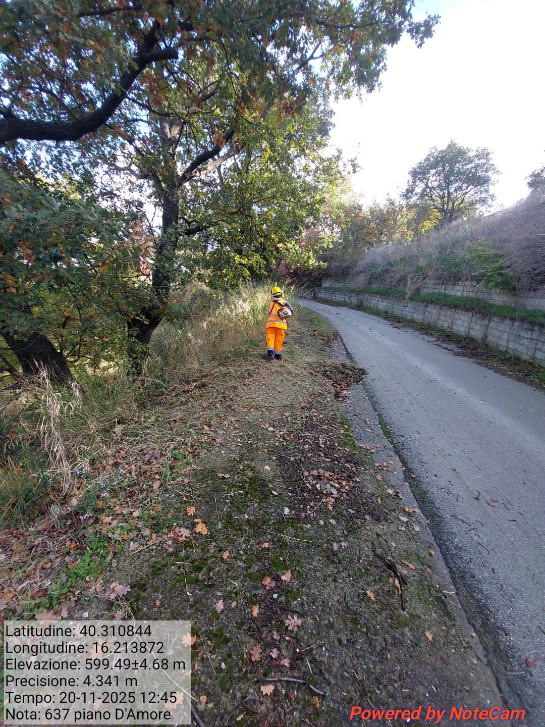 Galleria Fotografica Immagine