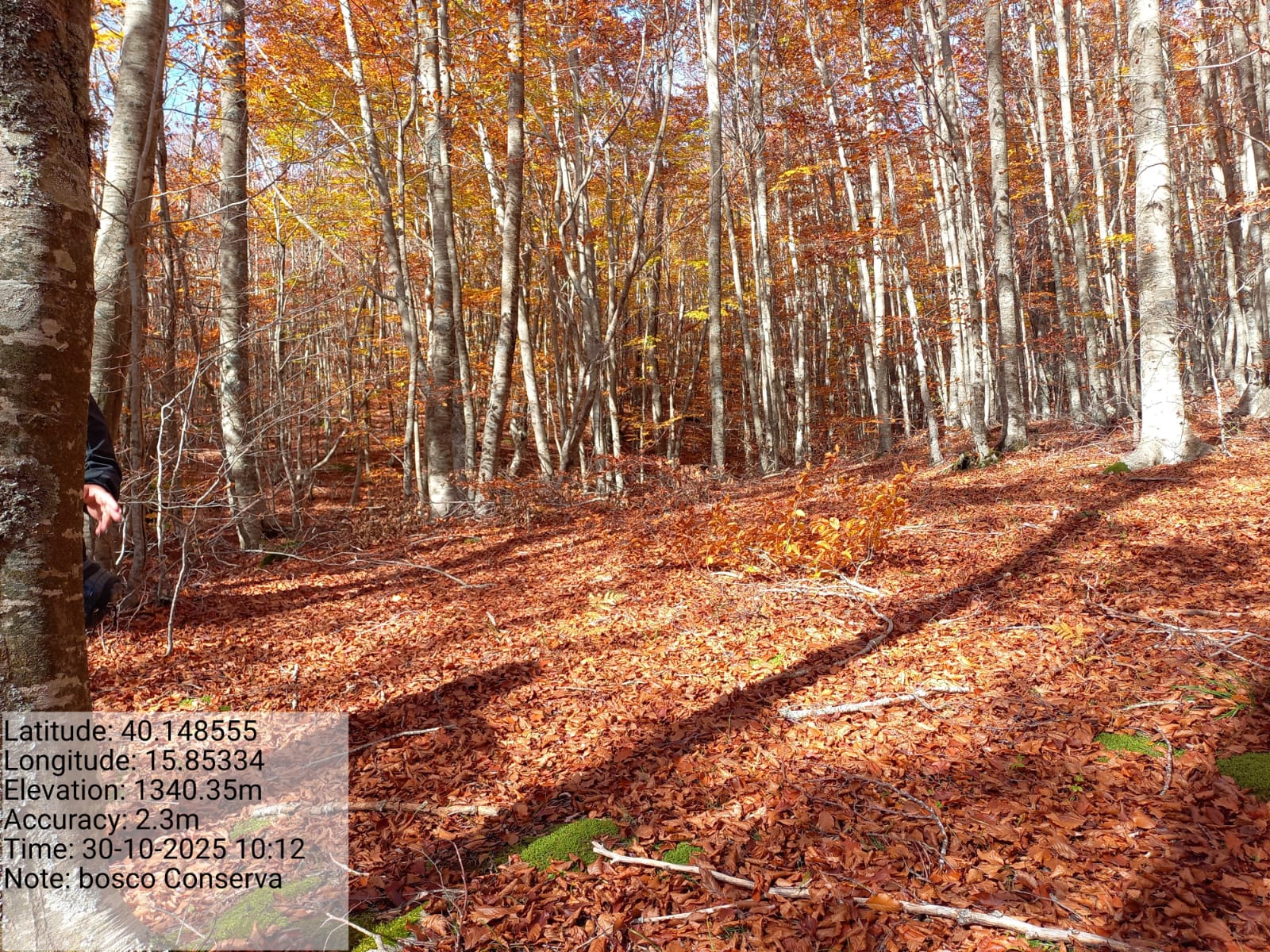 Galleria Fotografica Immagine