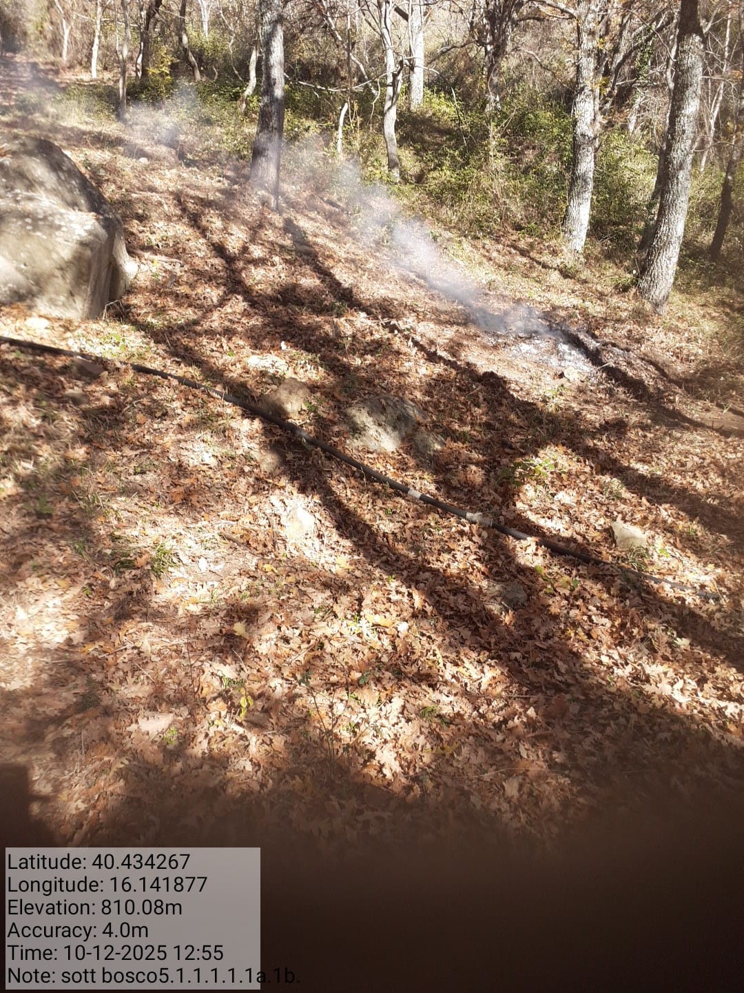 Galleria Fotografica Immagine