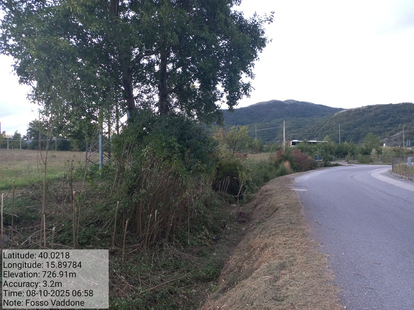 Galleria Fotografica Immagine