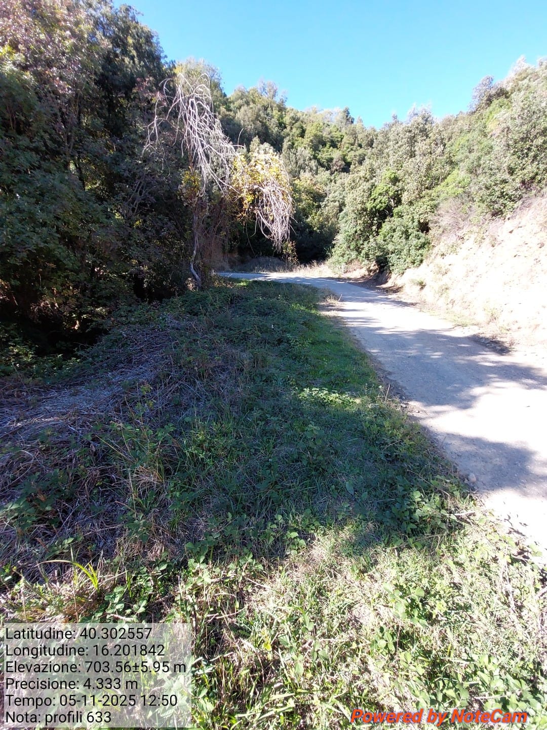 Galleria Fotografica Immagine