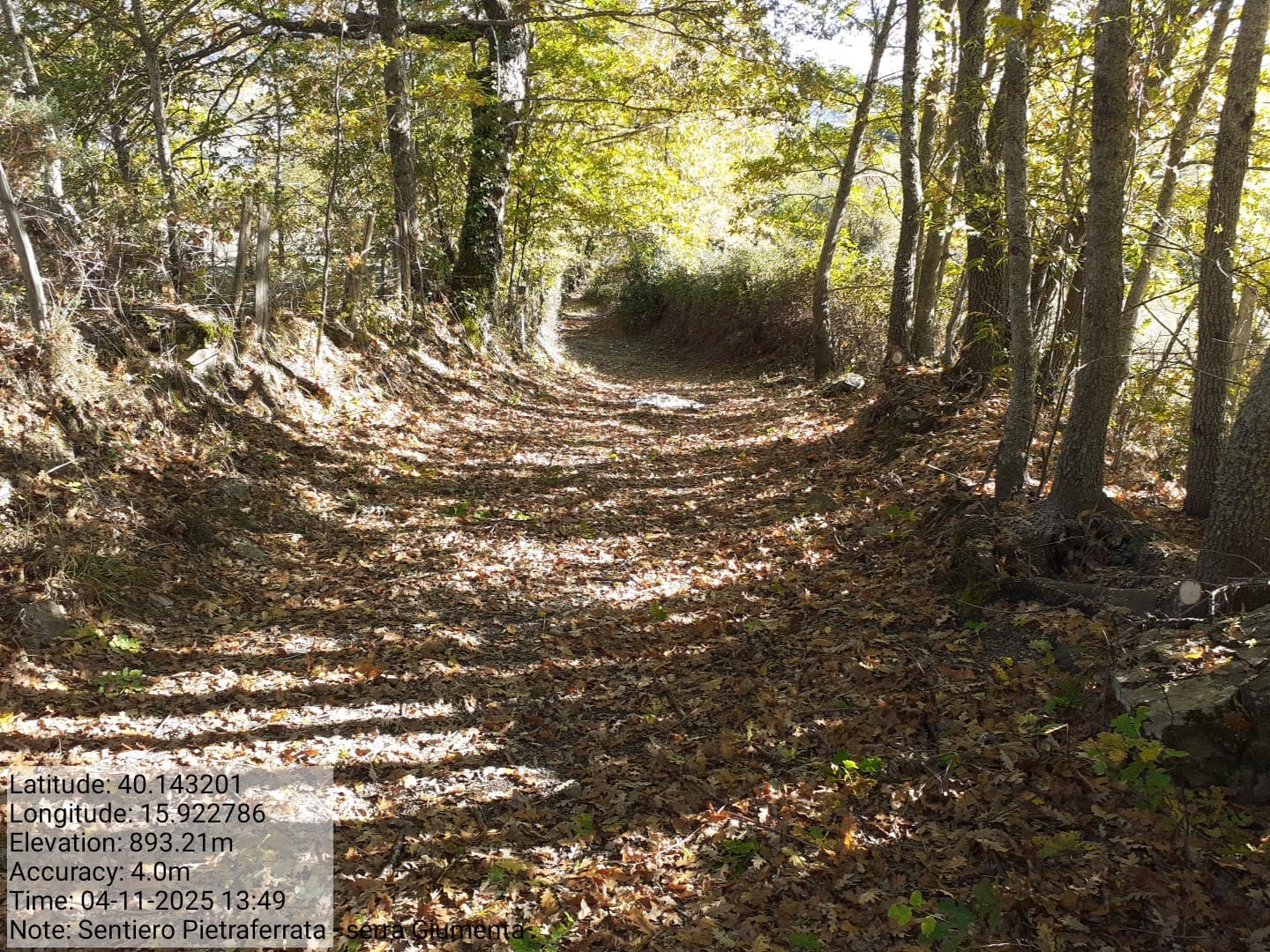 Galleria Fotografica Immagine