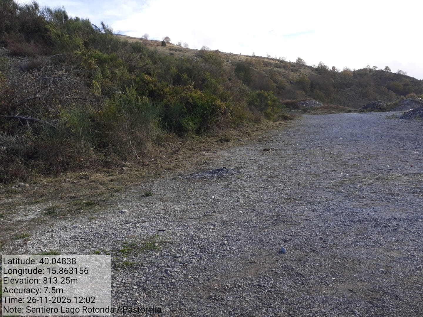 Galleria Fotografica Immagine