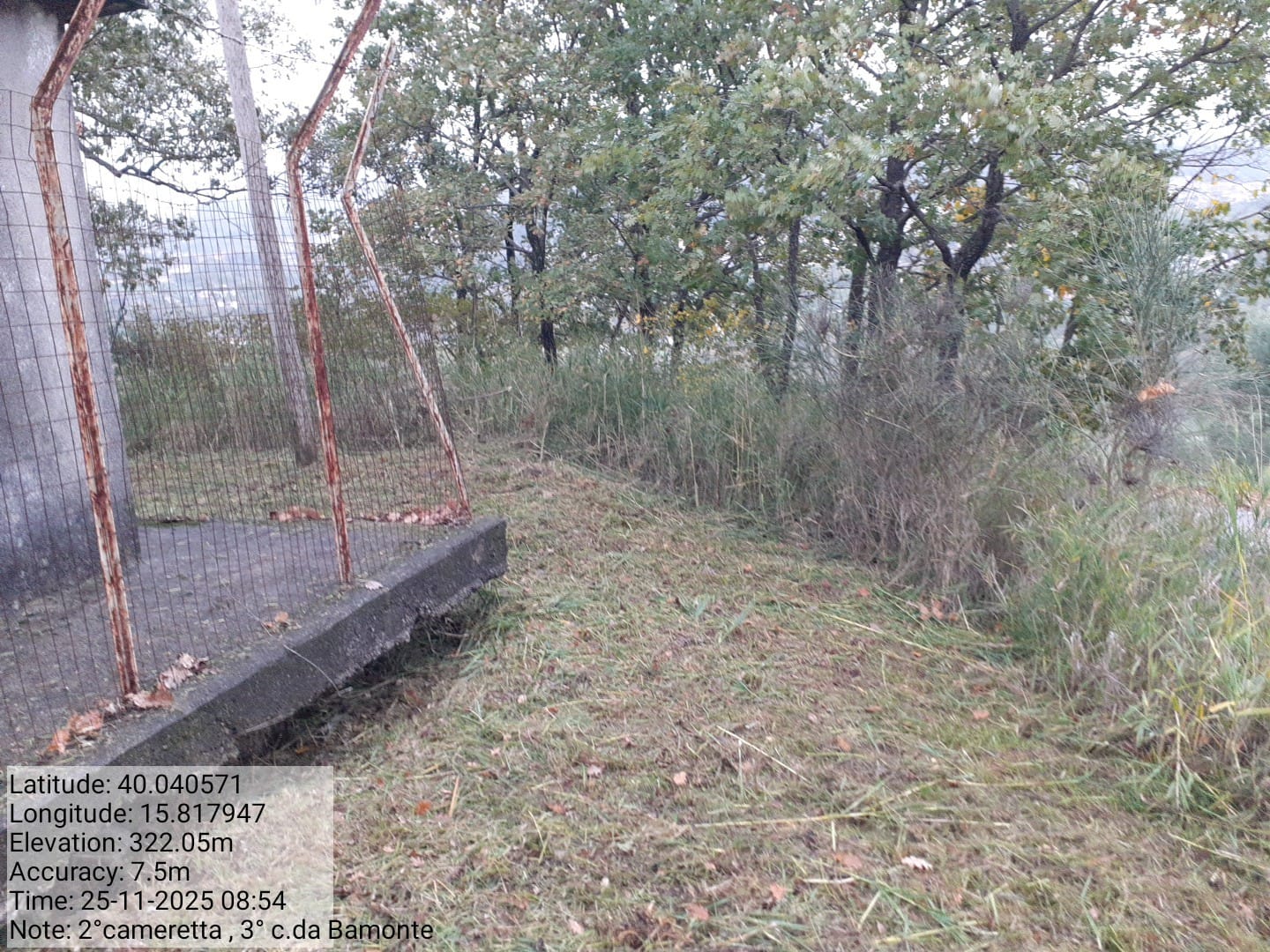 Galleria Fotografica Immagine