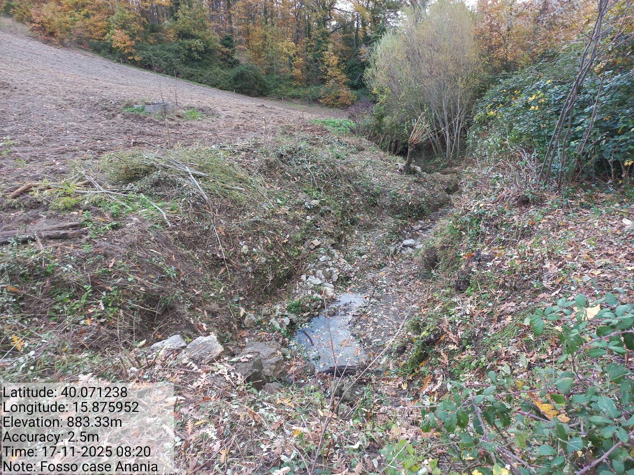 Galleria Fotografica Immagine