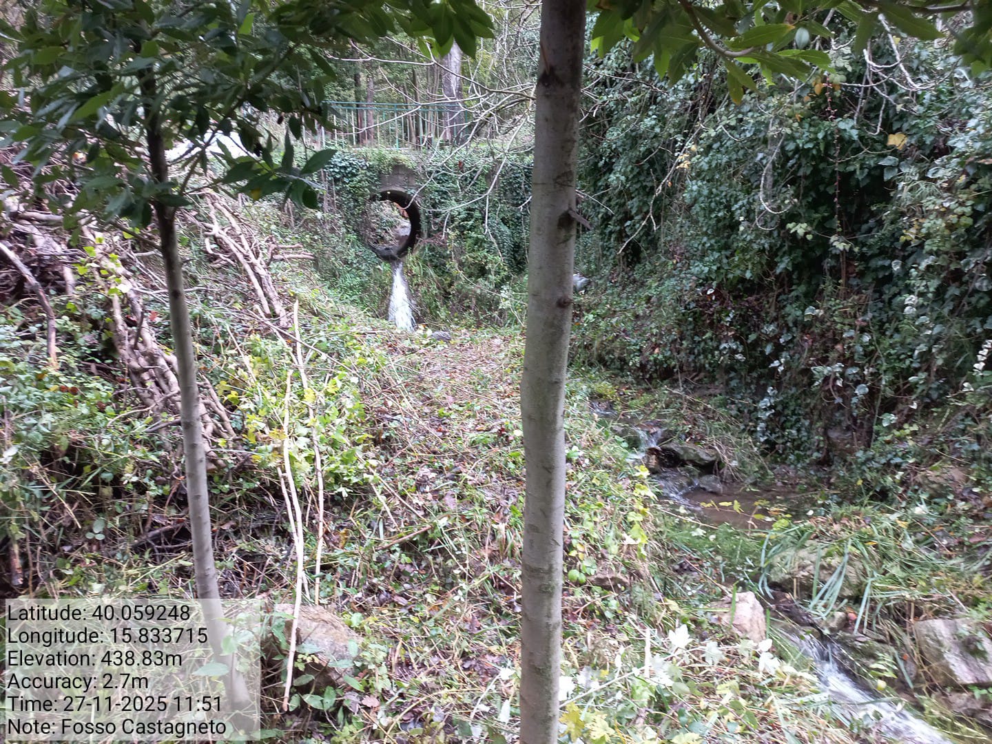 Galleria Fotografica Immagine