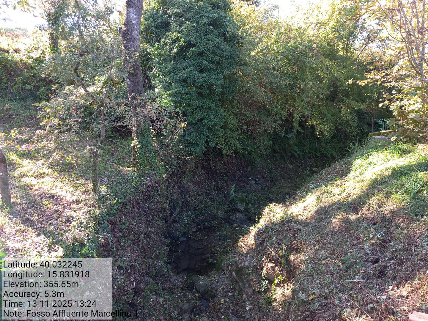 Galleria Fotografica Immagine