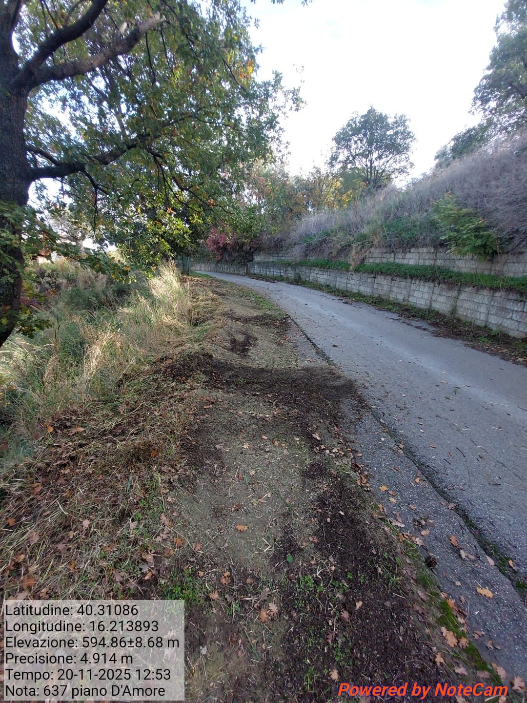 Galleria Fotografica Immagine