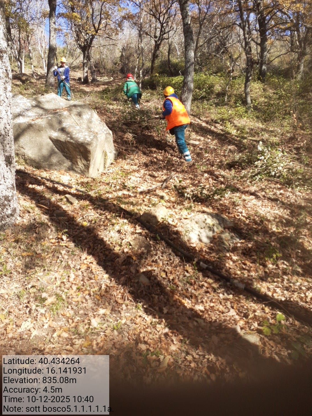 Galleria Fotografica Immagine