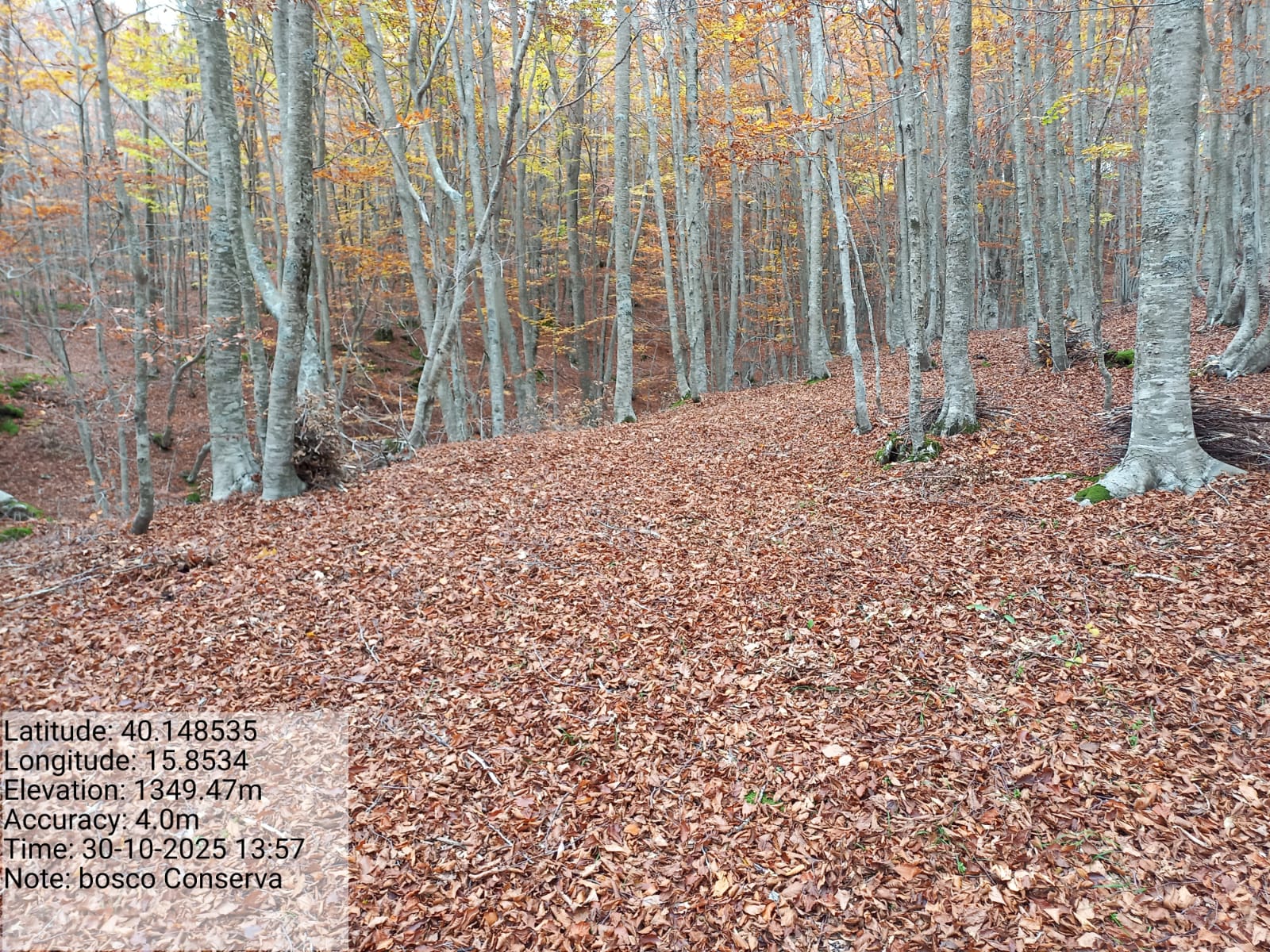 Galleria Fotografica Immagine