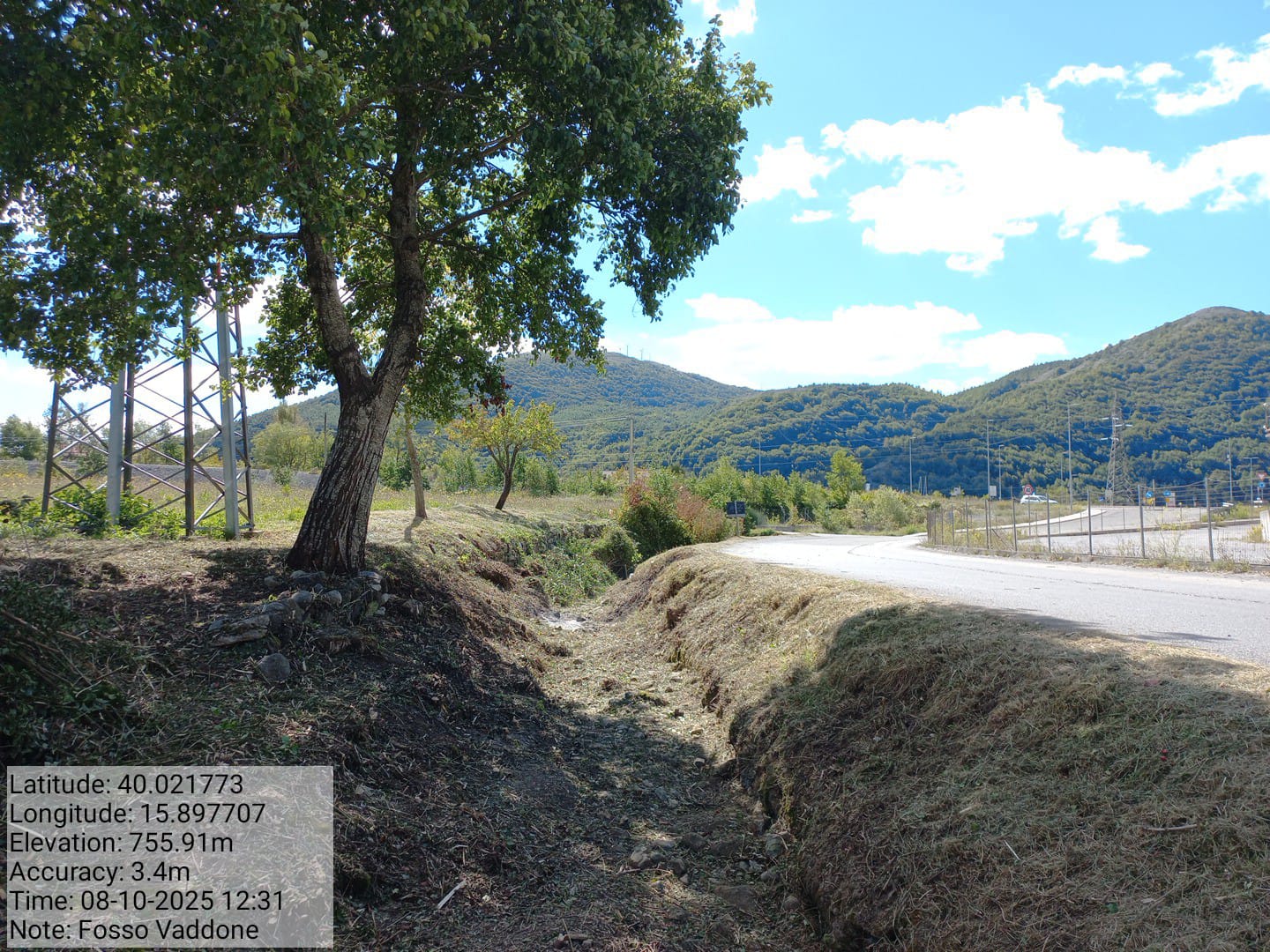 Galleria Fotografica Immagine