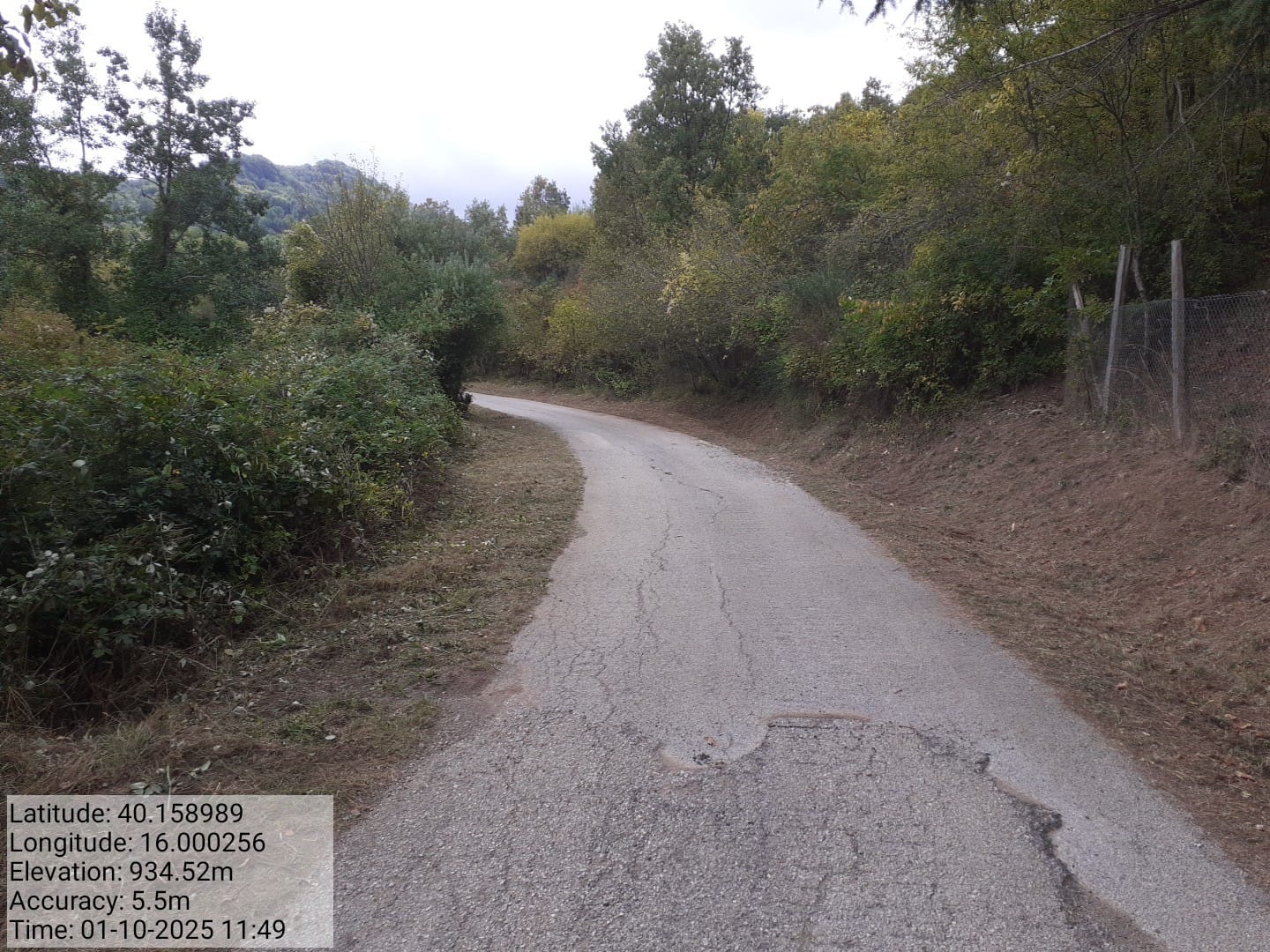 Galleria Fotografica Immagine