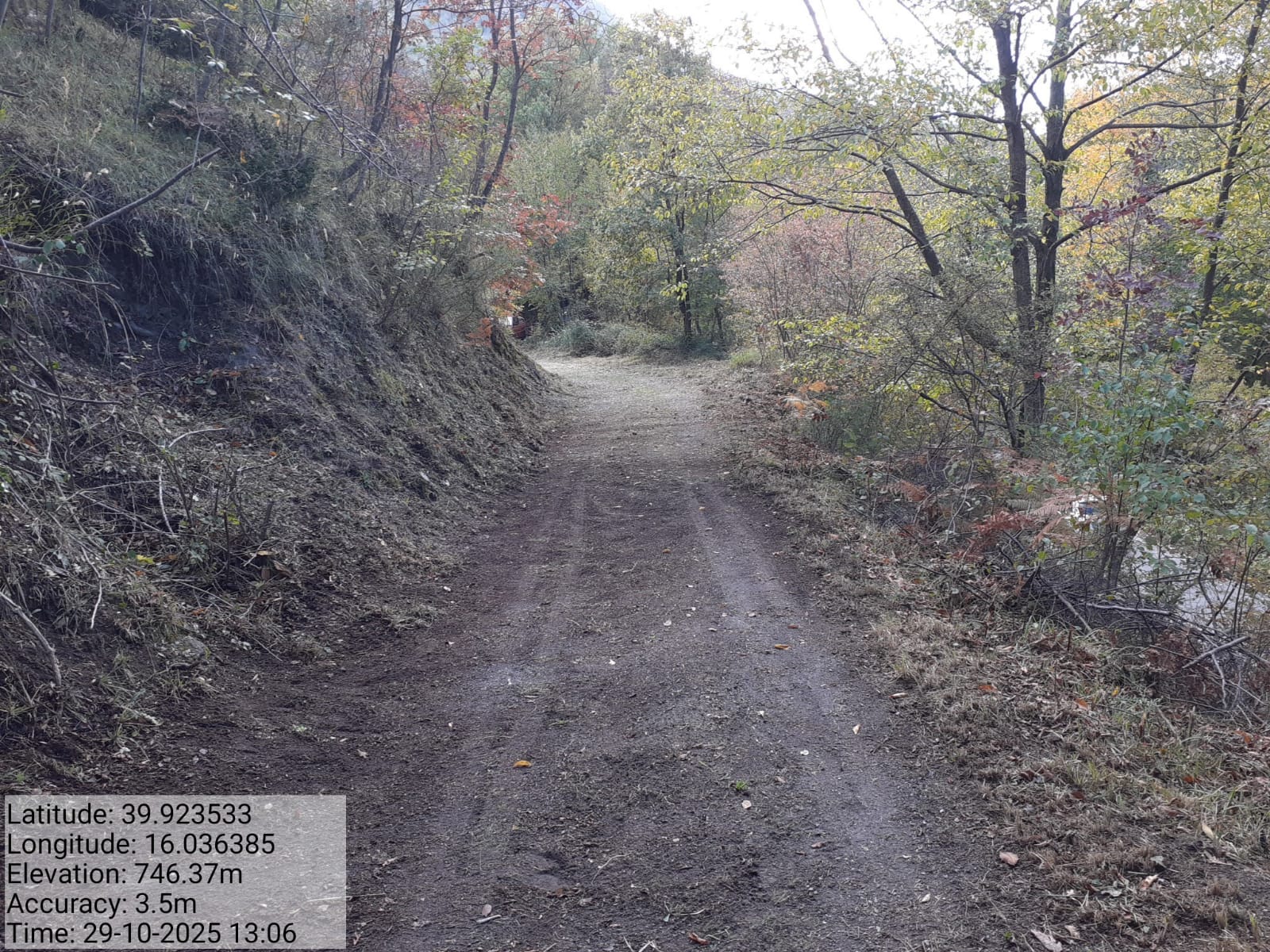 Galleria Fotografica Immagine