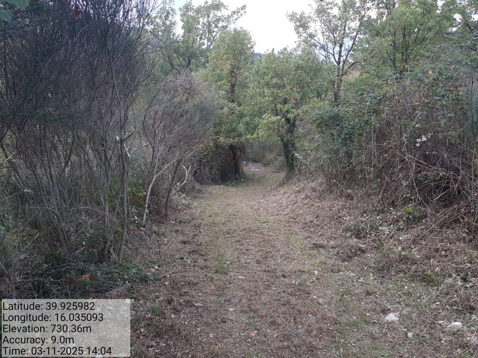 Galleria Fotografica Immagine