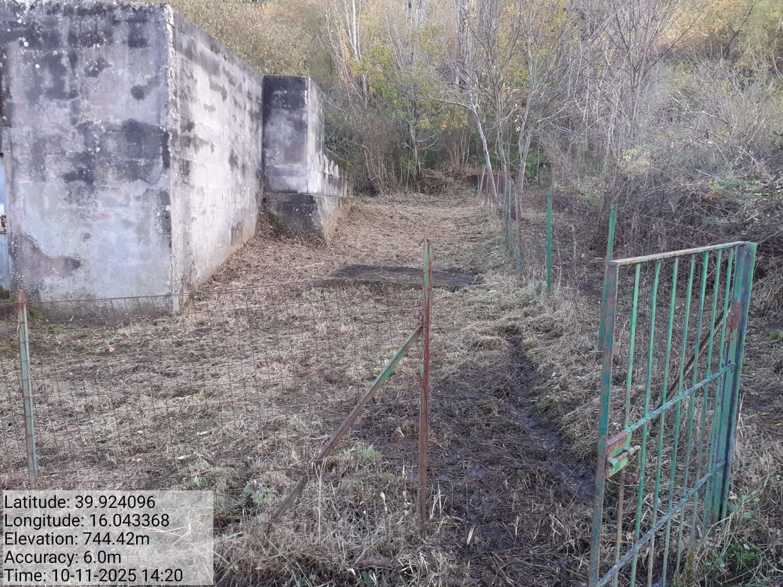 Galleria Fotografica Immagine