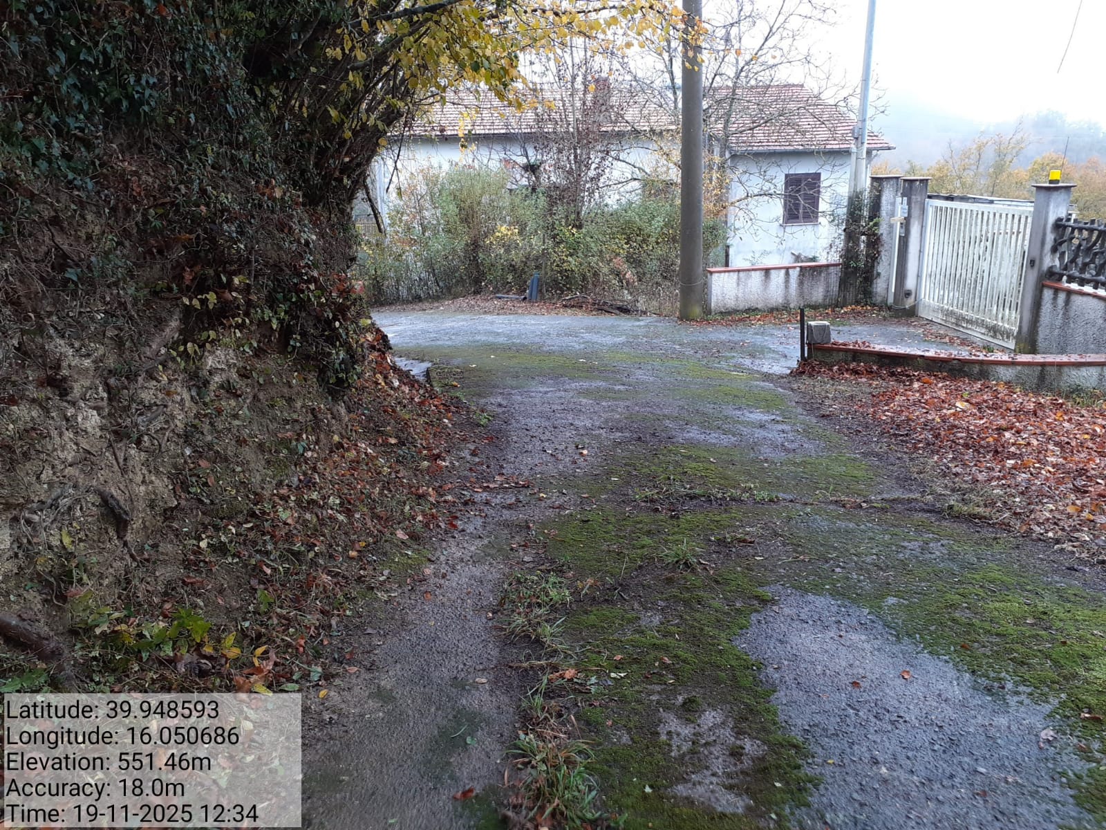 Galleria Fotografica Immagine