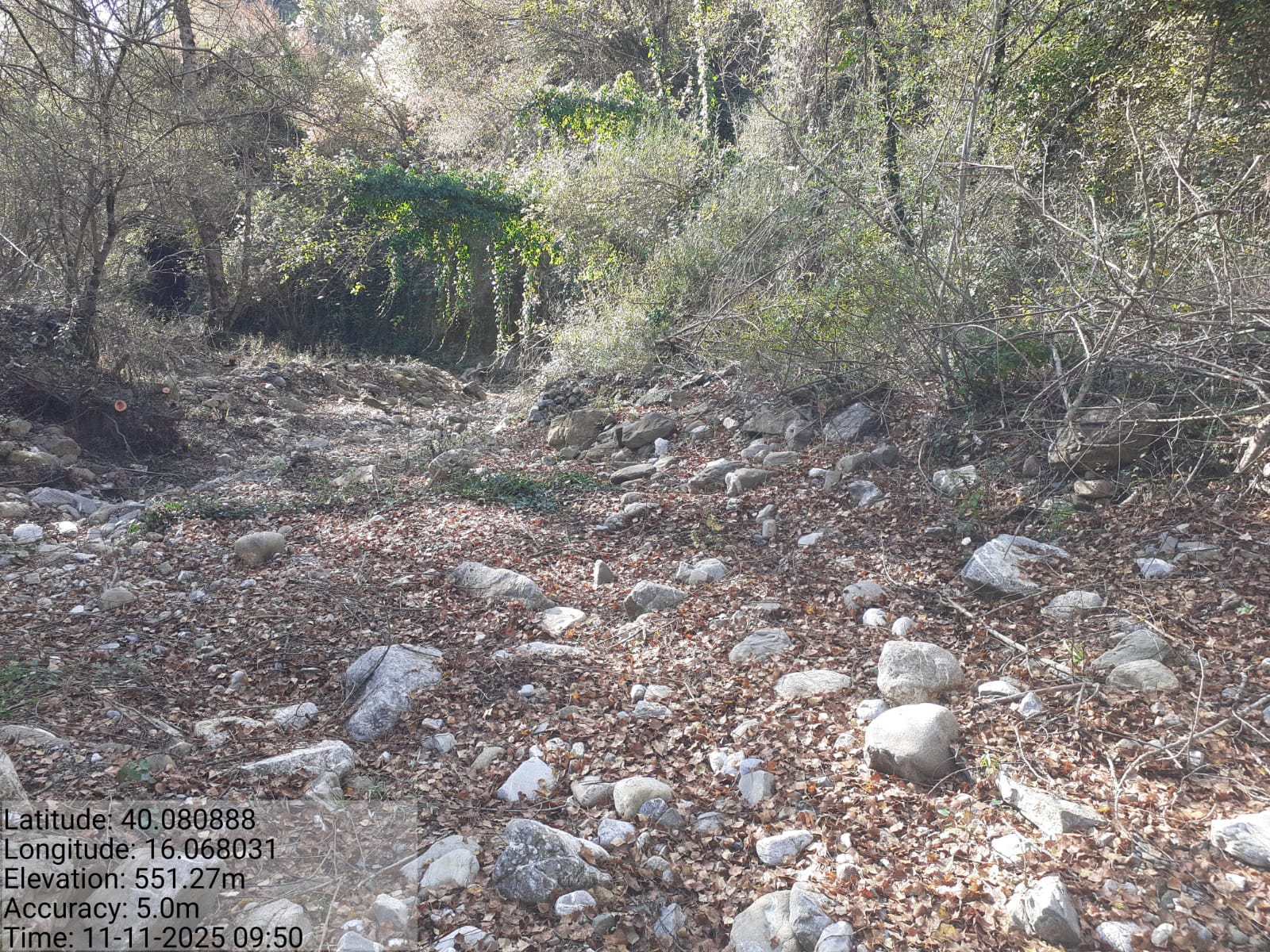 Galleria Fotografica Immagine