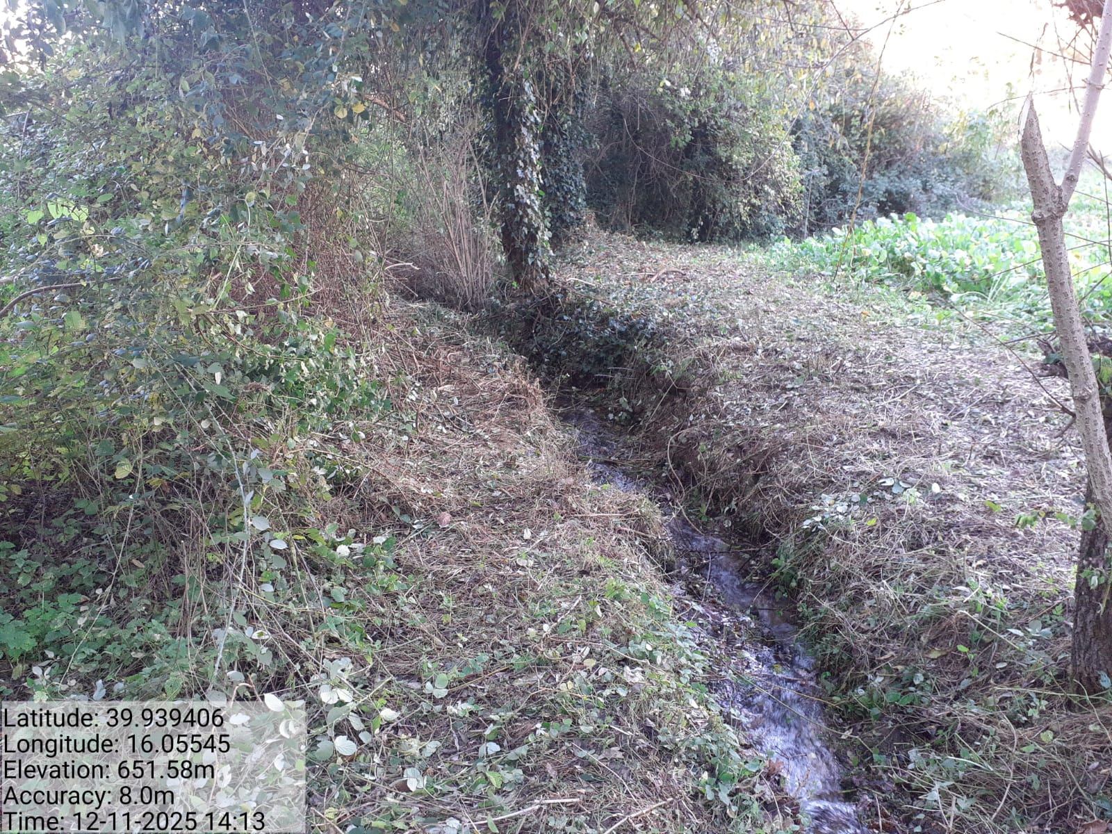 Galleria Fotografica Immagine