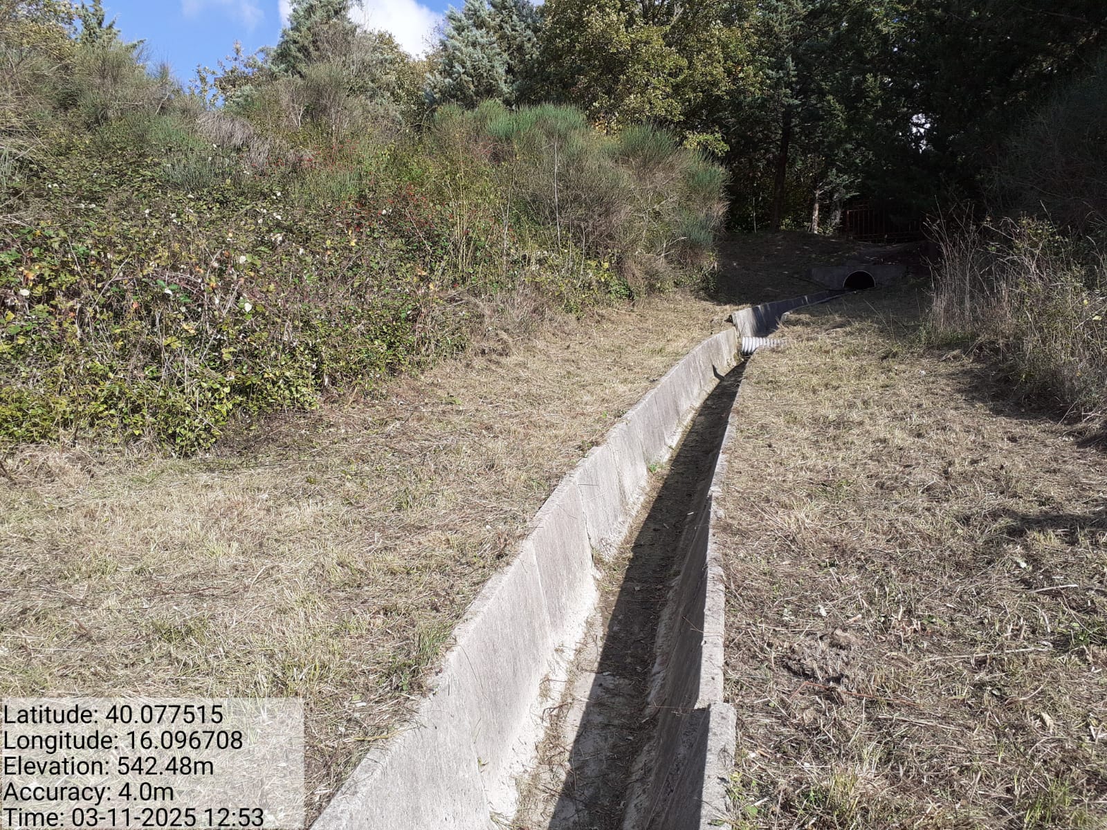 Galleria Fotografica Immagine