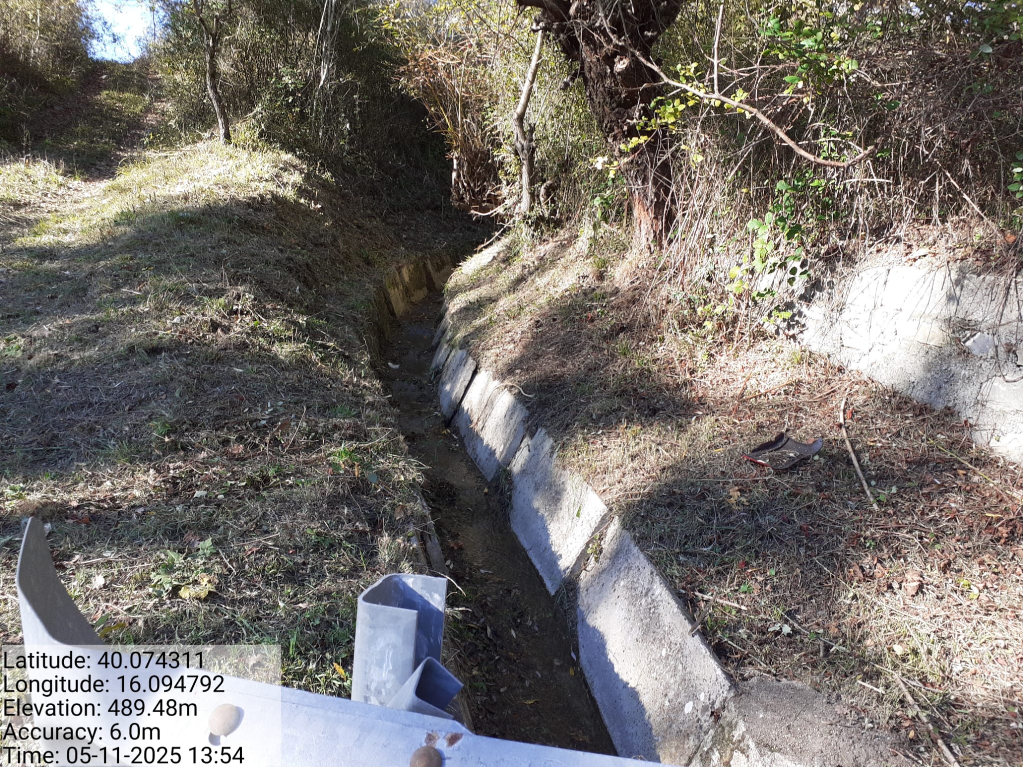 Galleria Fotografica Immagine