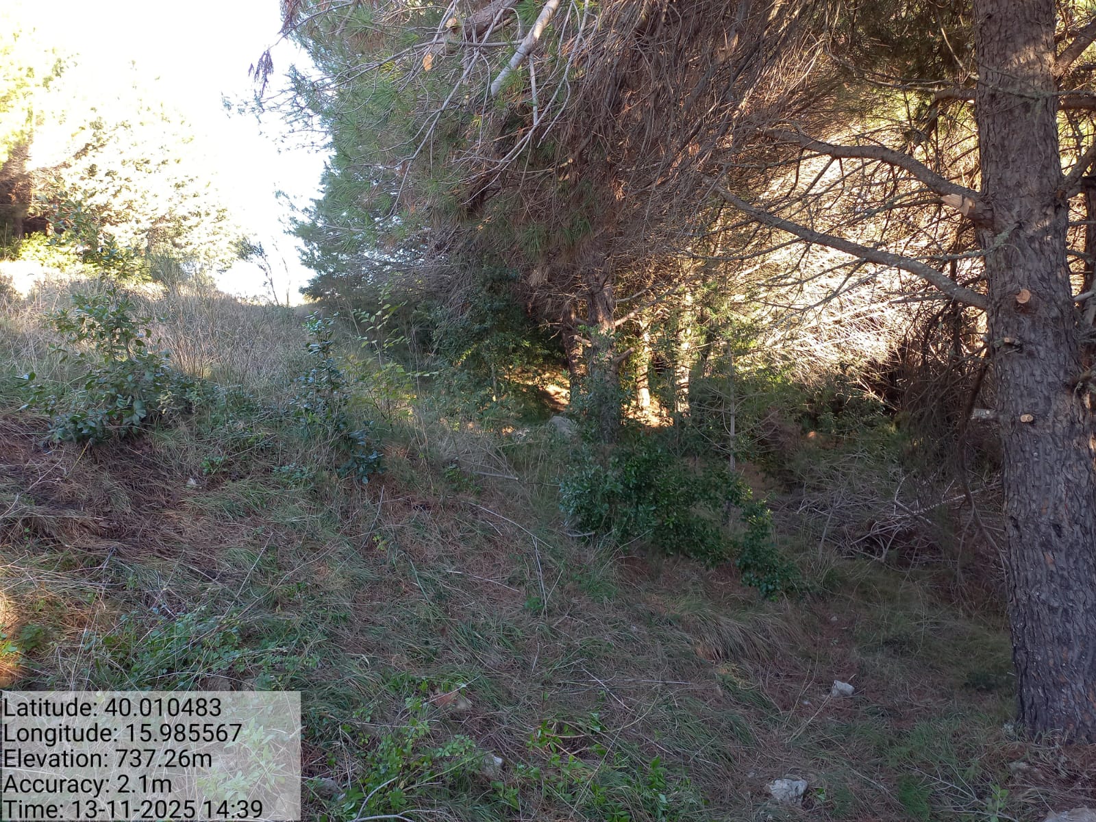 Galleria Fotografica Immagine