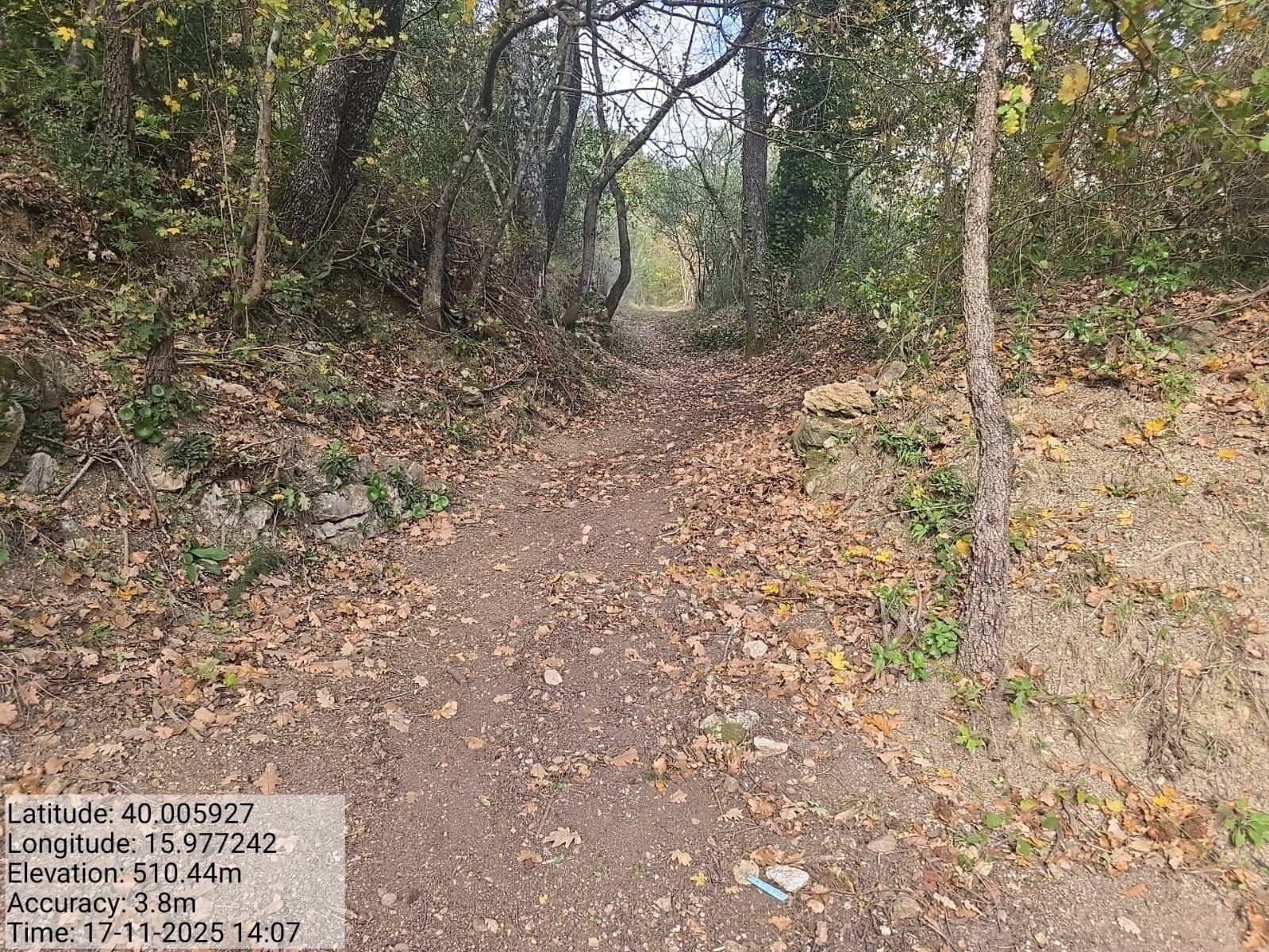 Galleria Fotografica Immagine