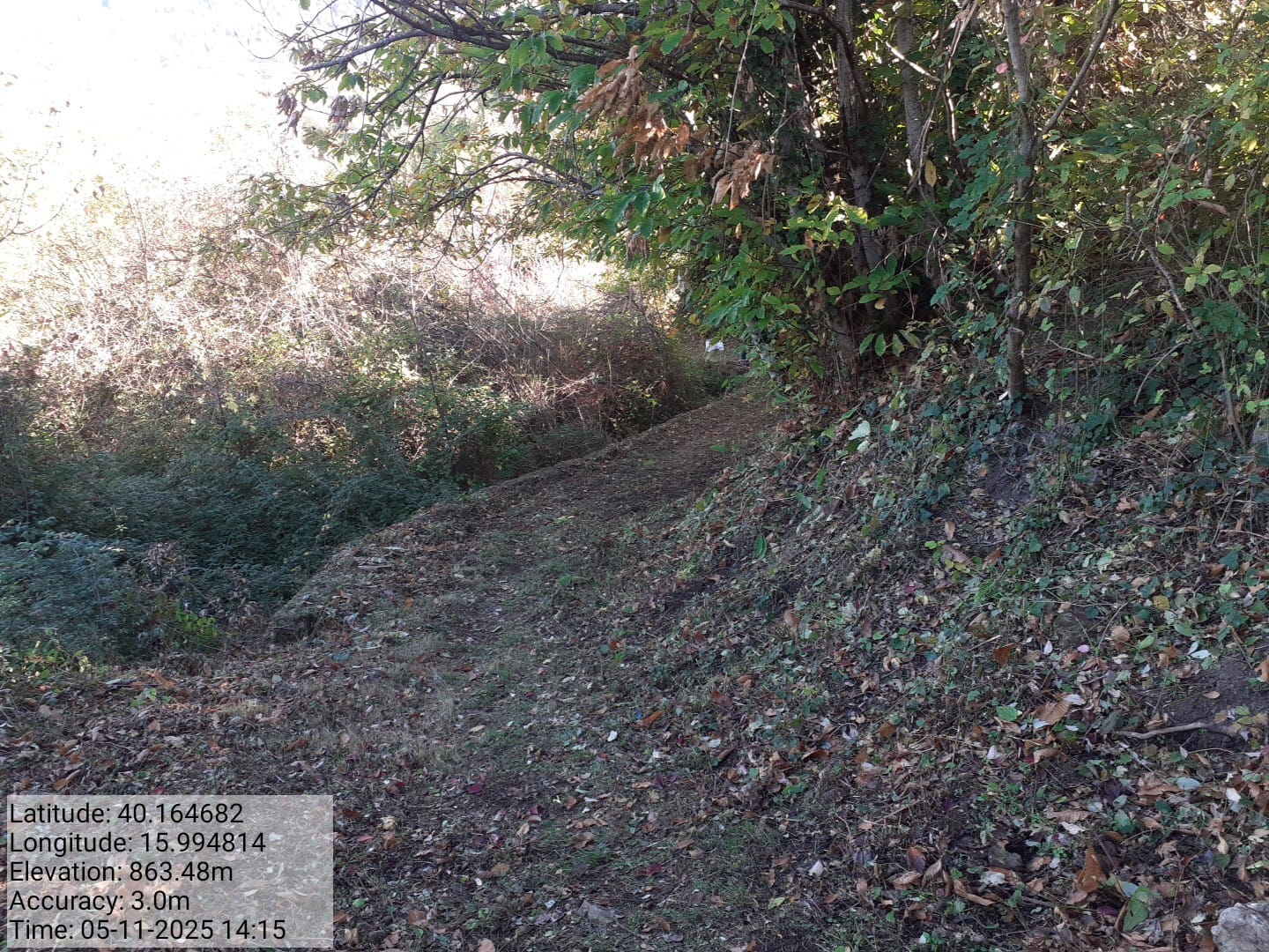 Galleria Fotografica Immagine