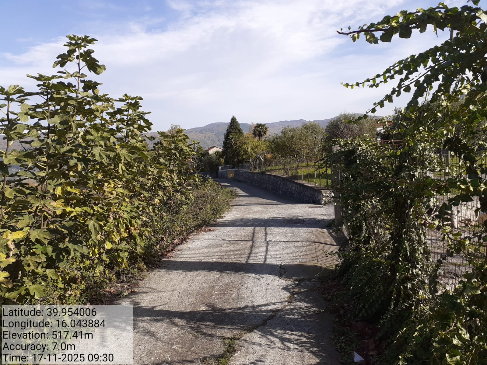 Galleria Fotografica Immagine