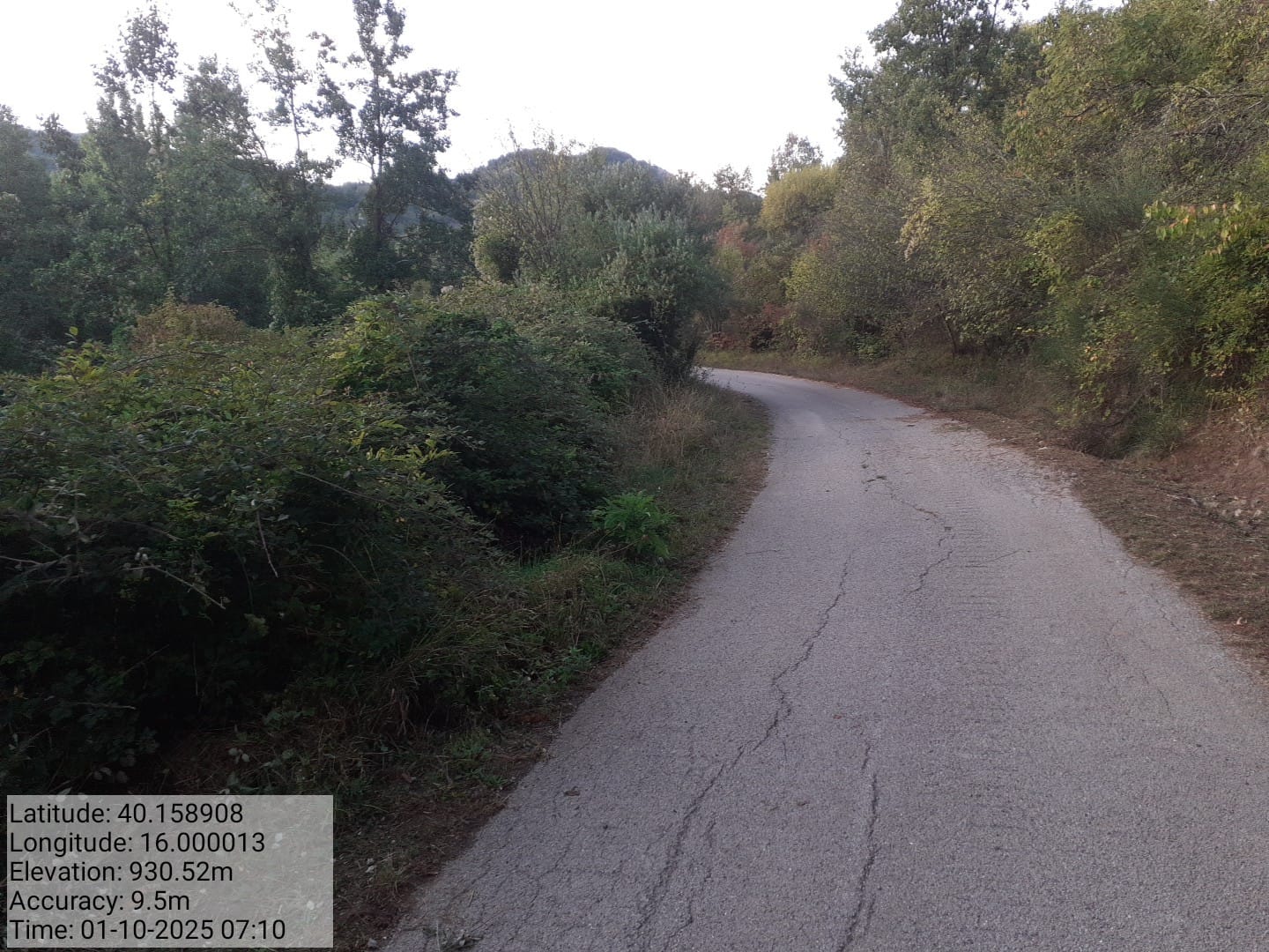 Galleria Fotografica Immagine