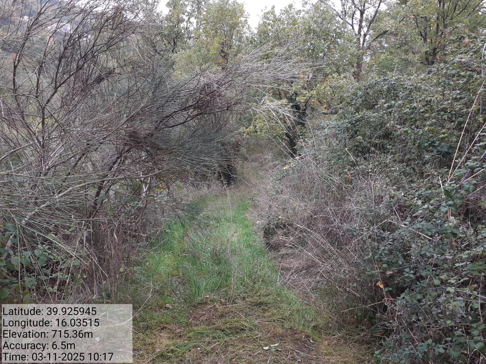 Galleria Fotografica Immagine