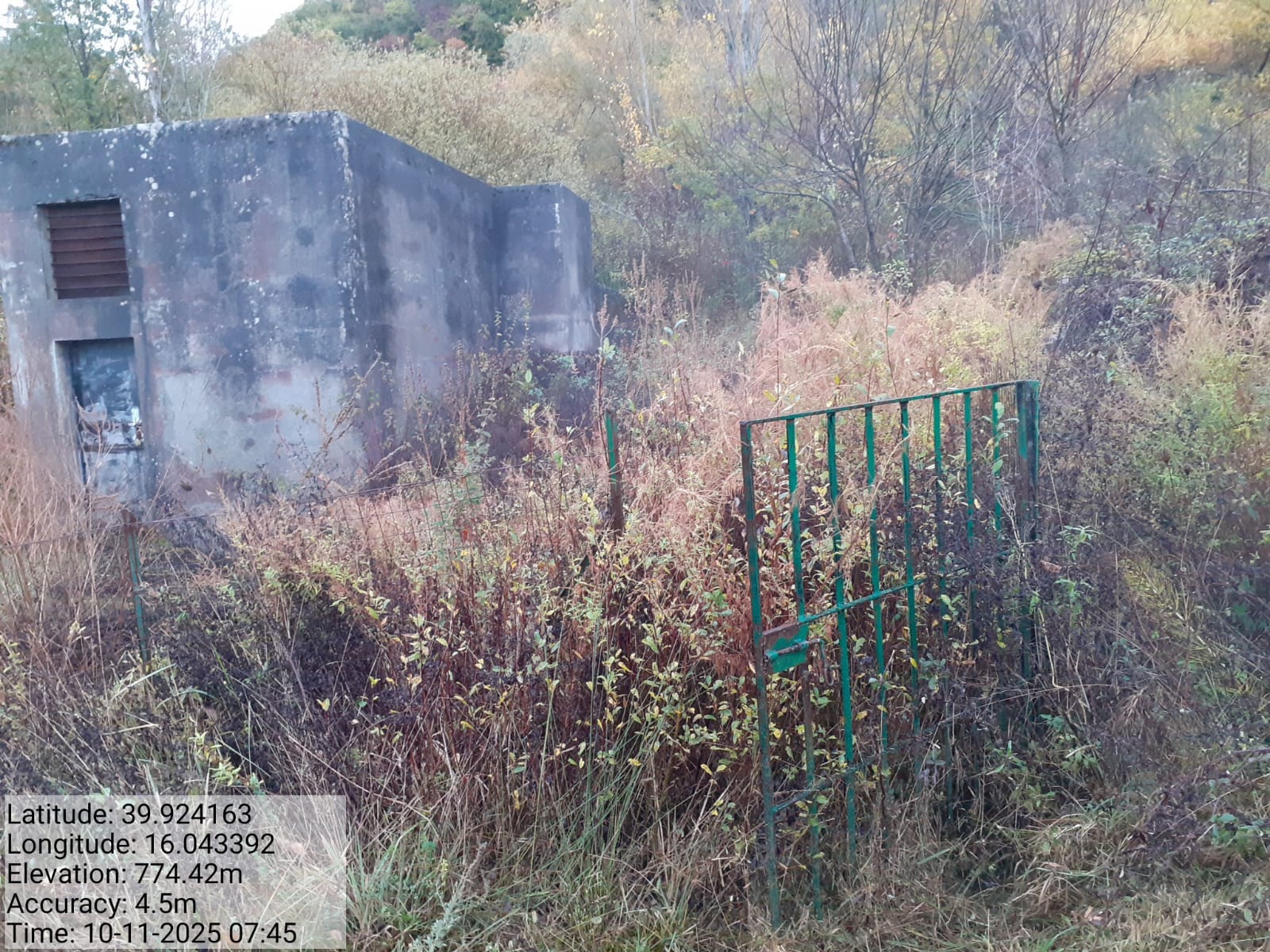 Galleria Fotografica Immagine