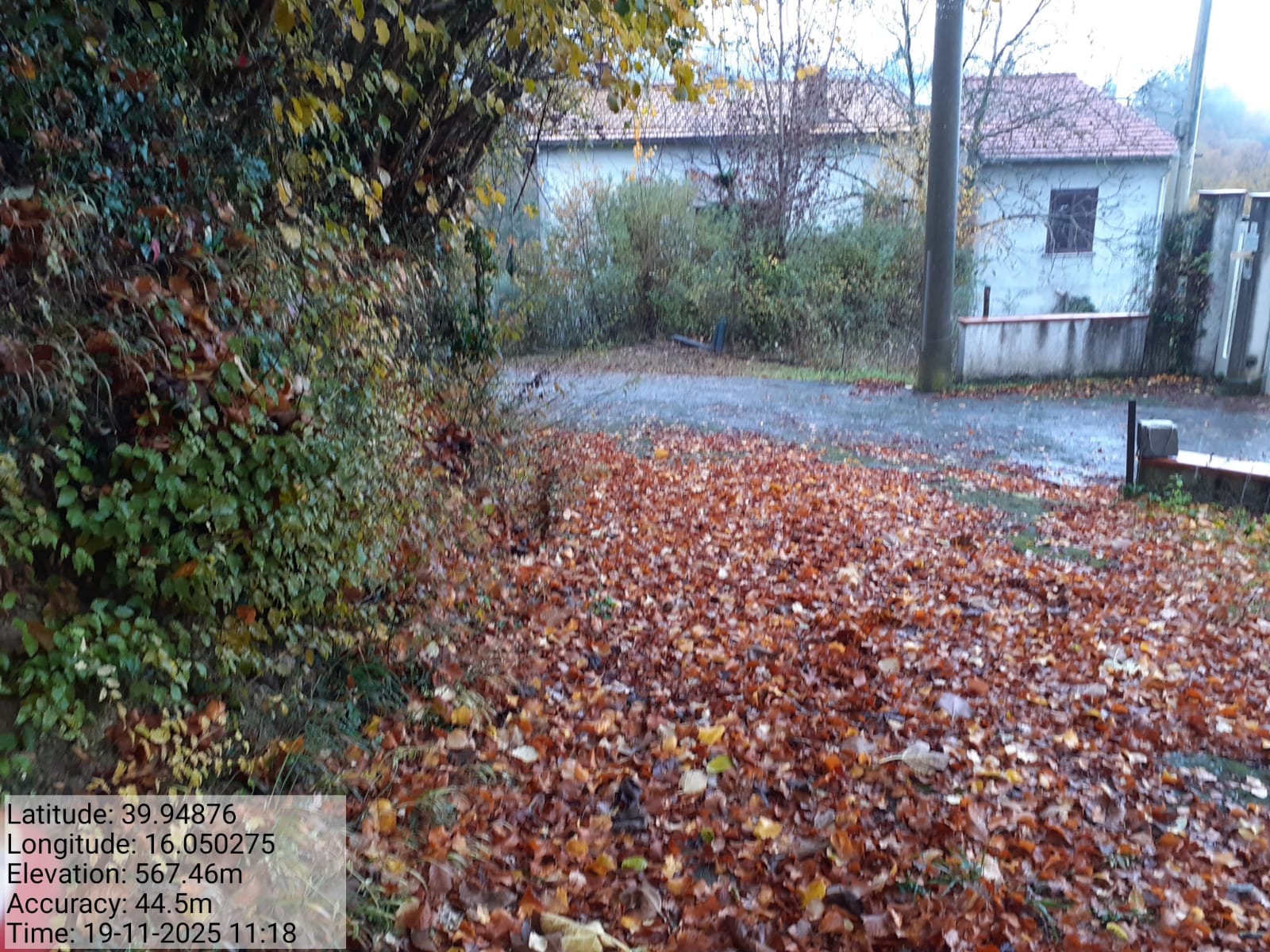 Galleria Fotografica Immagine