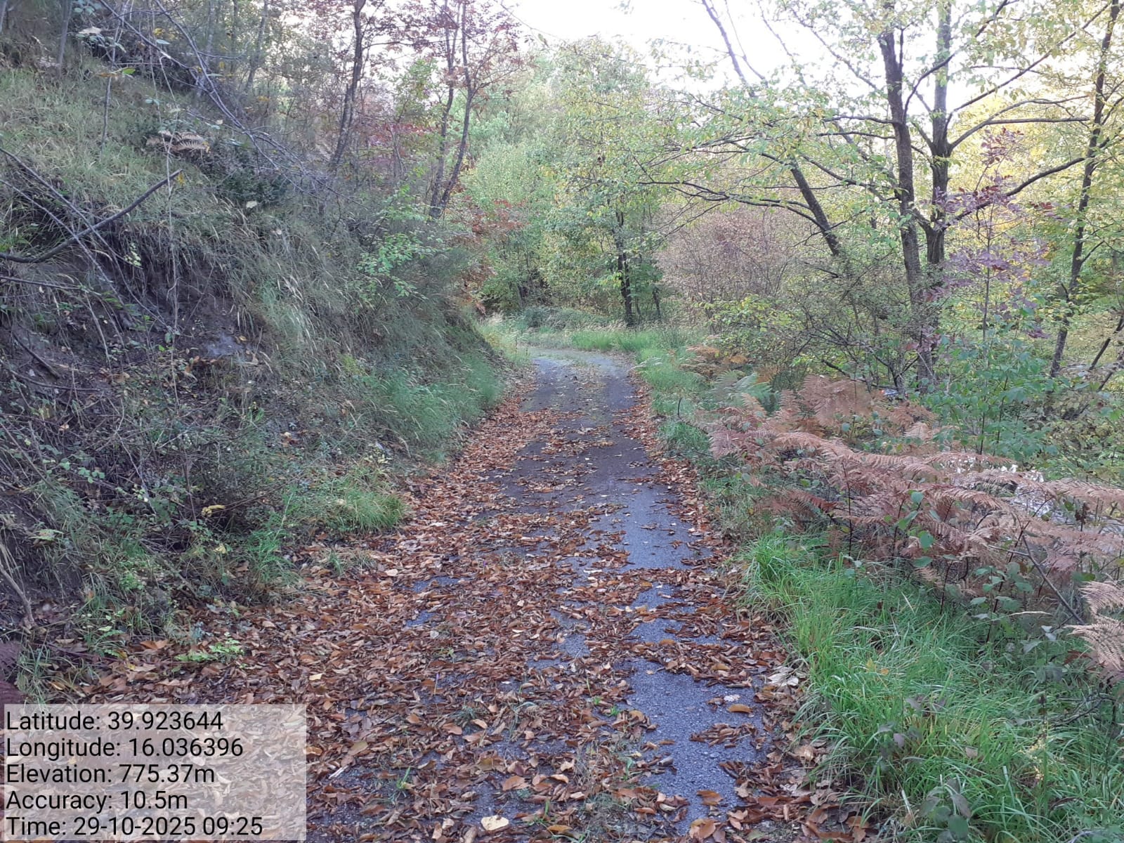 Galleria Fotografica Immagine