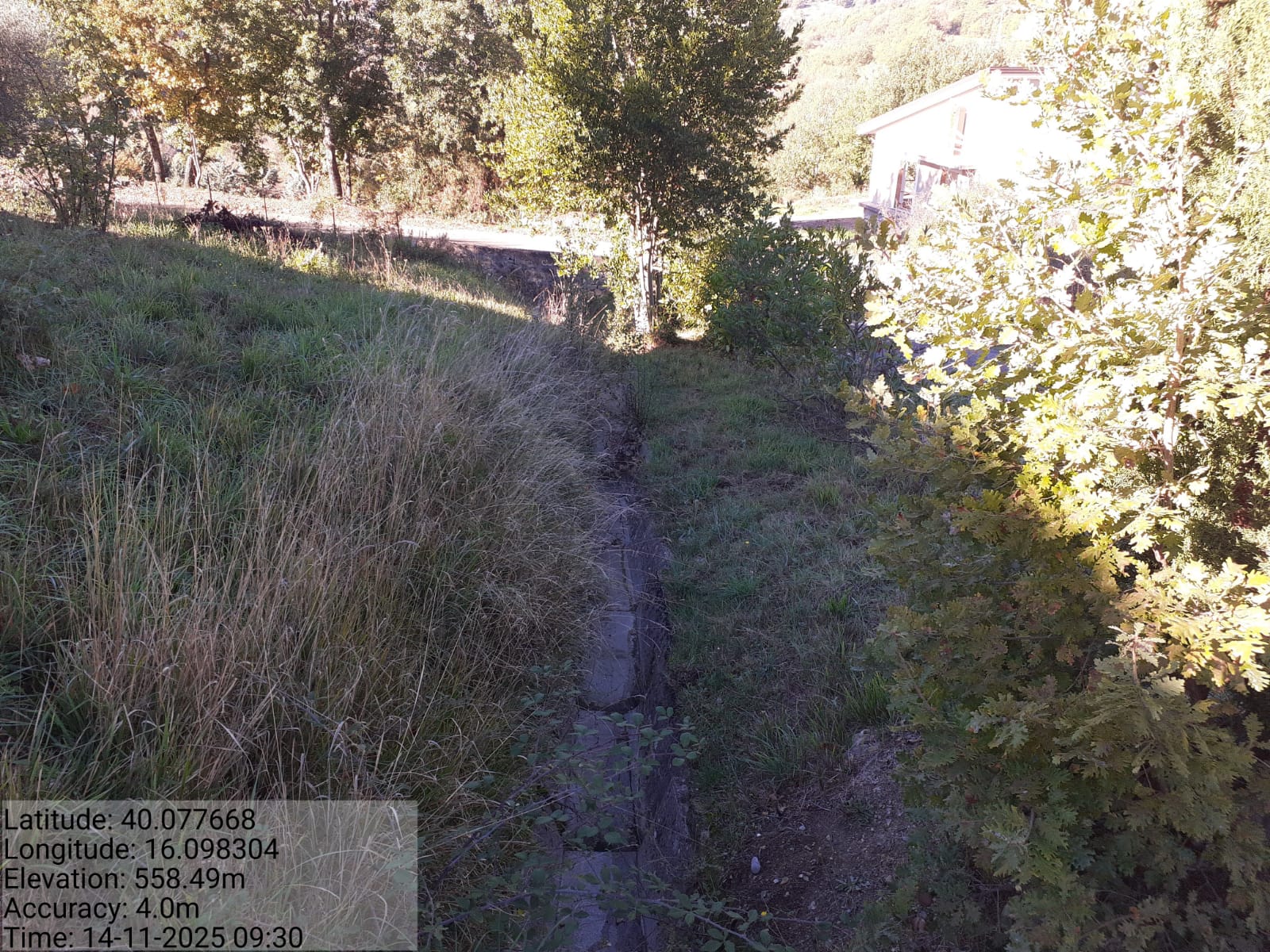 Galleria Fotografica Immagine