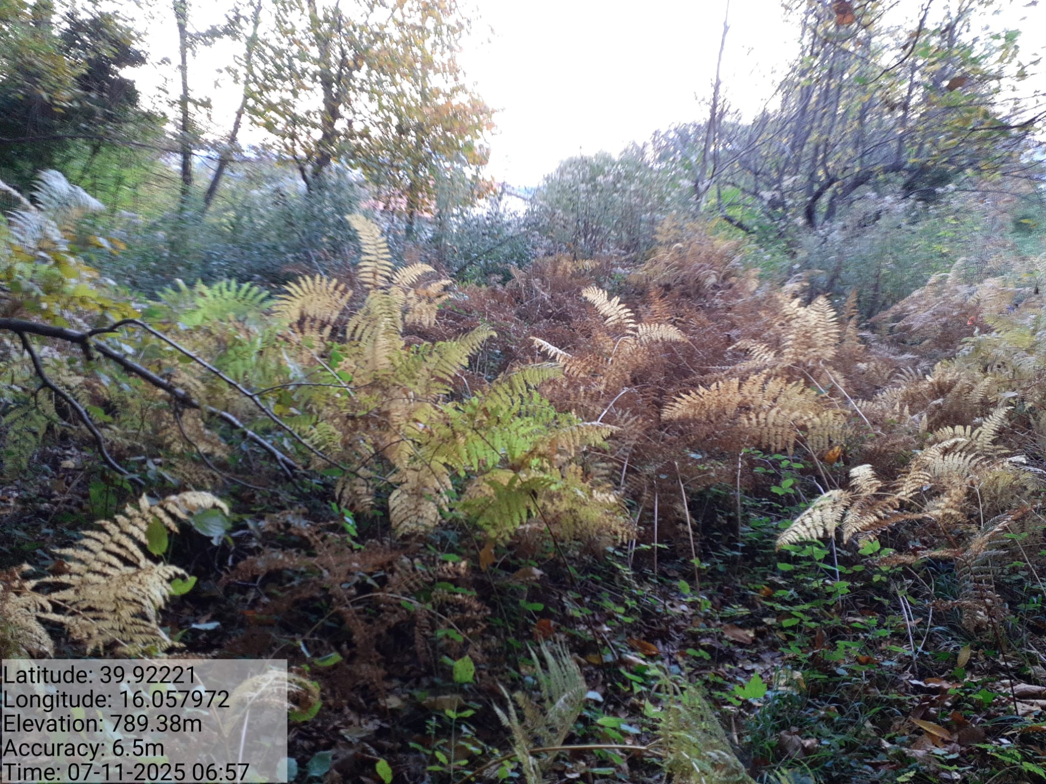 Galleria Fotografica Immagine