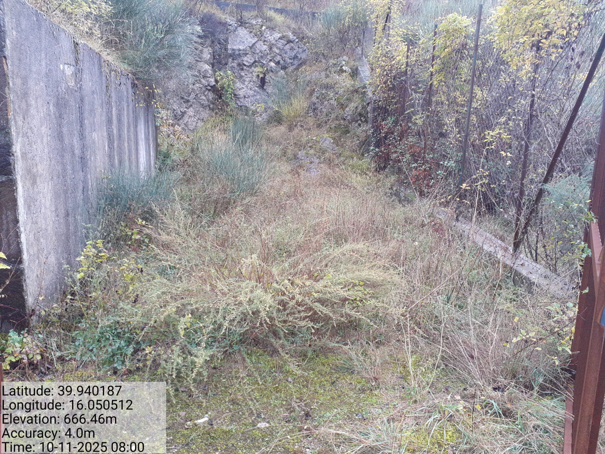 Galleria Fotografica Immagine