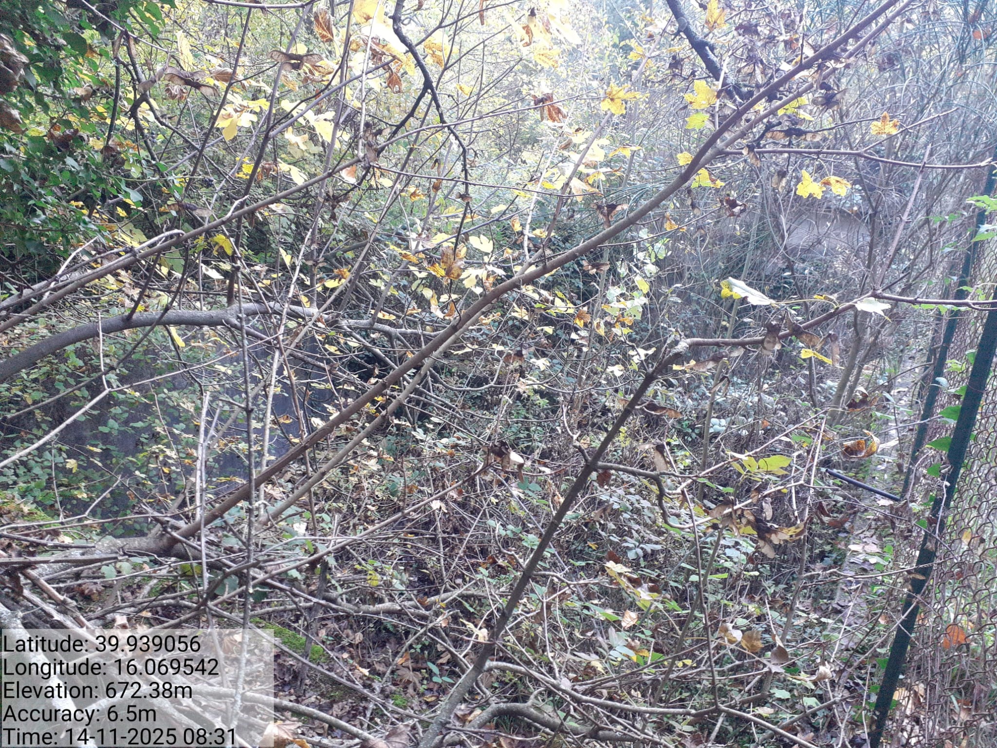 Galleria Fotografica Immagine