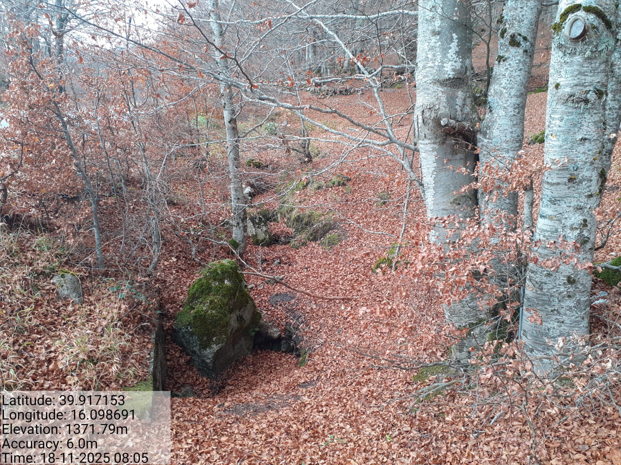 Galleria Fotografica Immagine