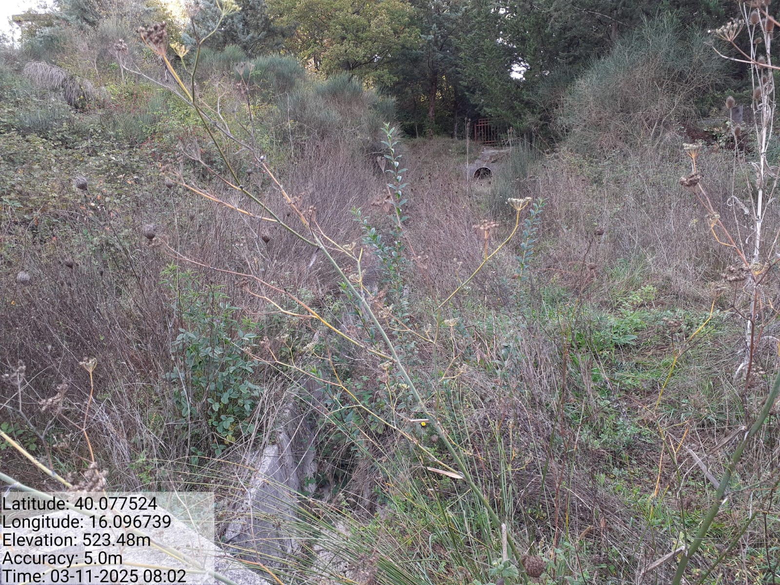 Galleria Fotografica Immagine