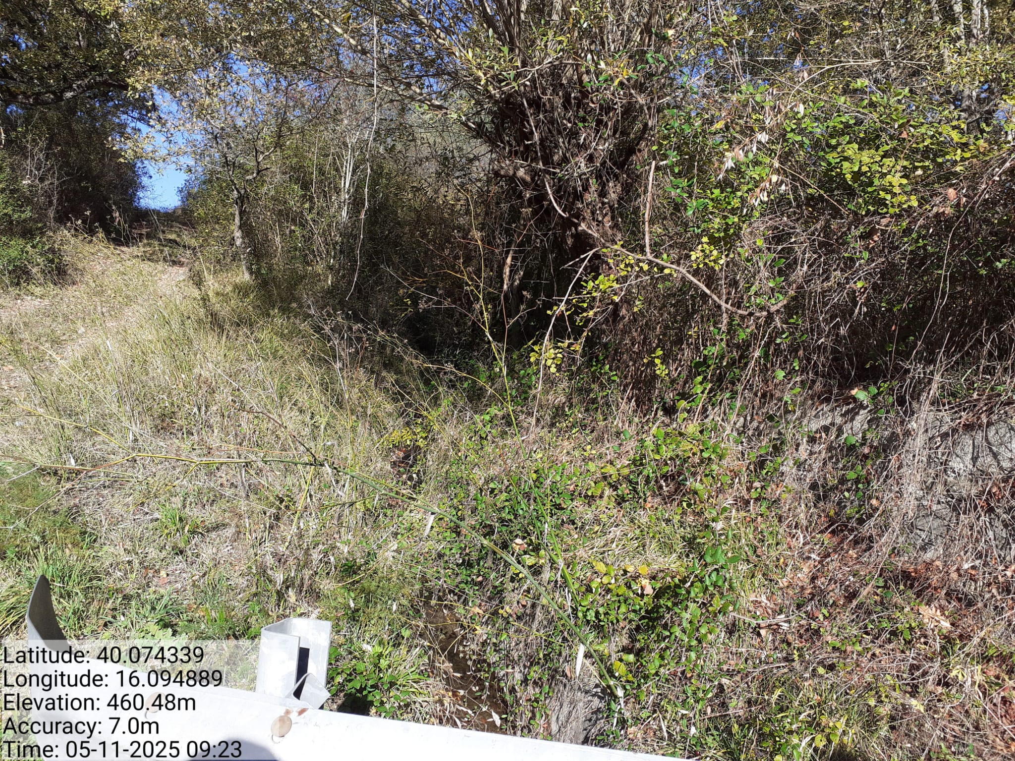 Galleria Fotografica Immagine