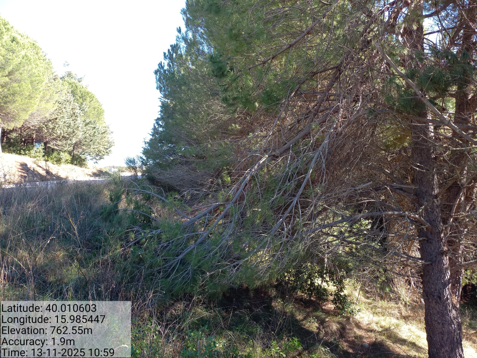 Galleria Fotografica Immagine