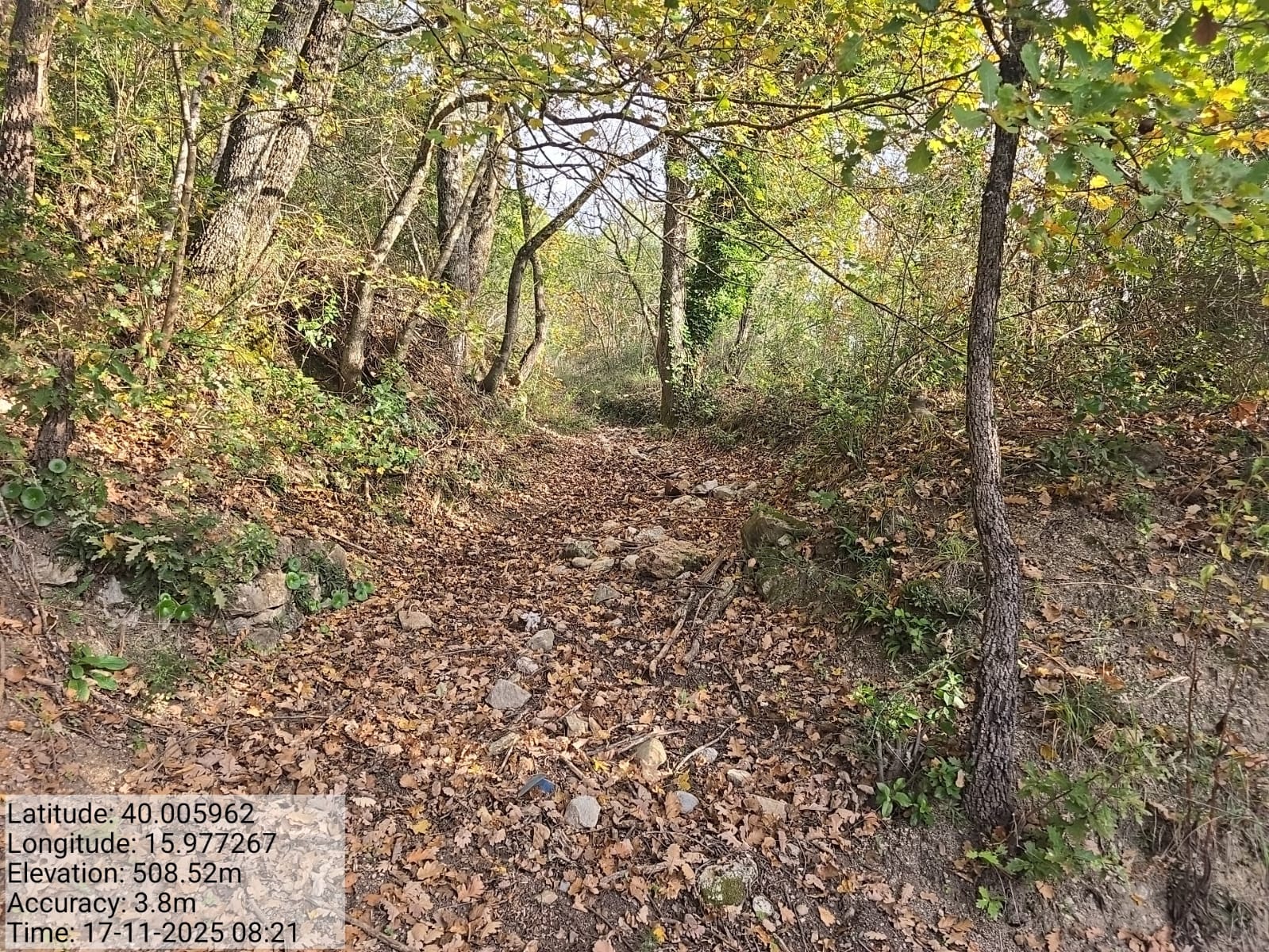 Galleria Fotografica Immagine