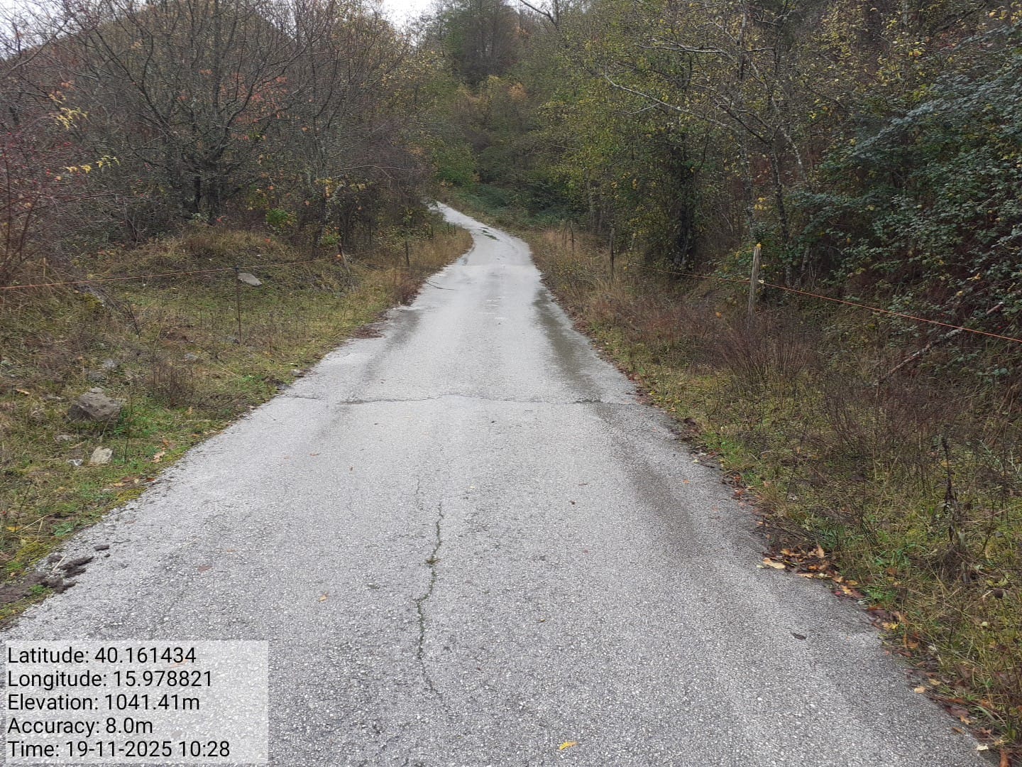 Galleria Fotografica Immagine