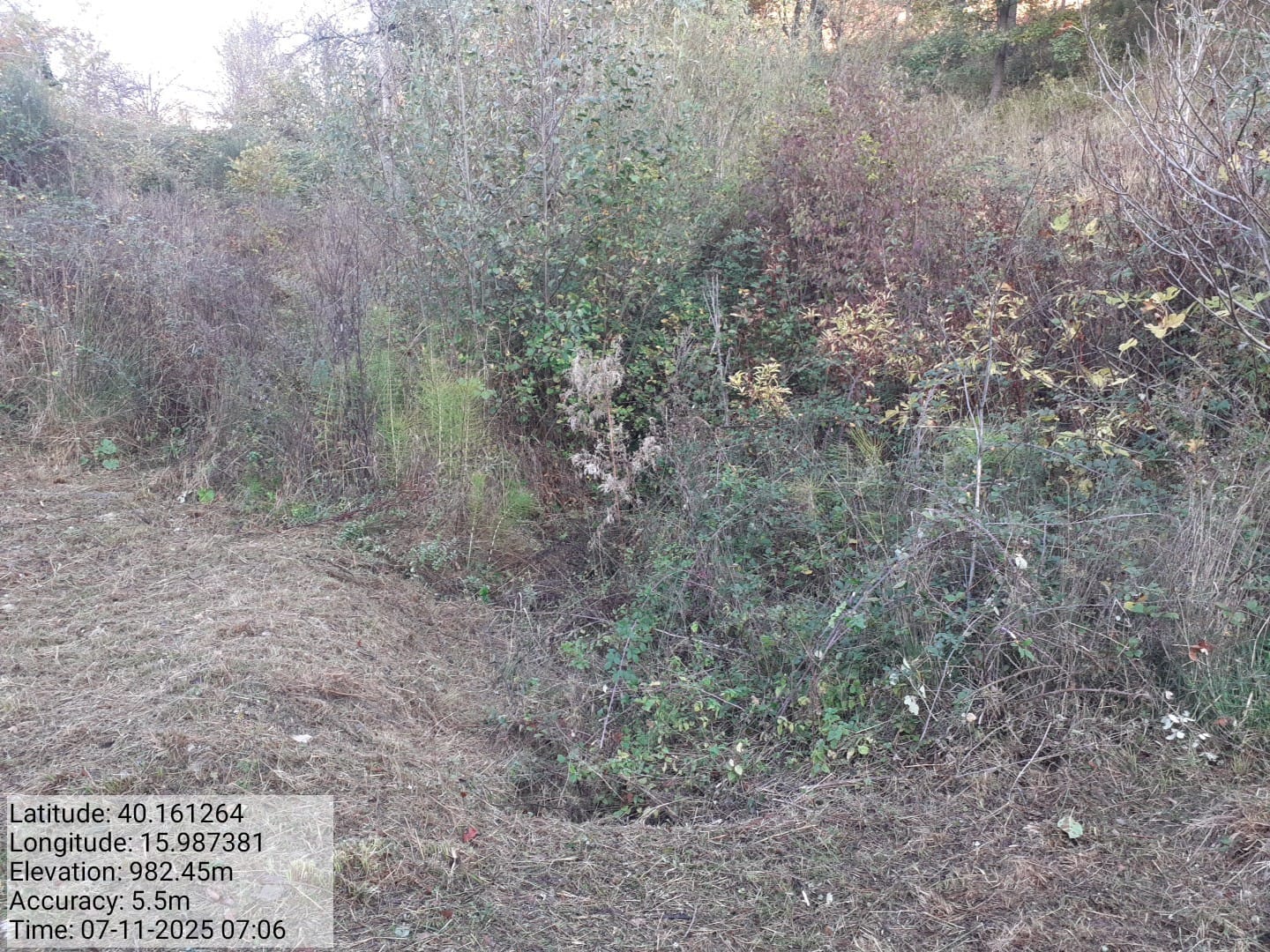 Galleria Fotografica Immagine