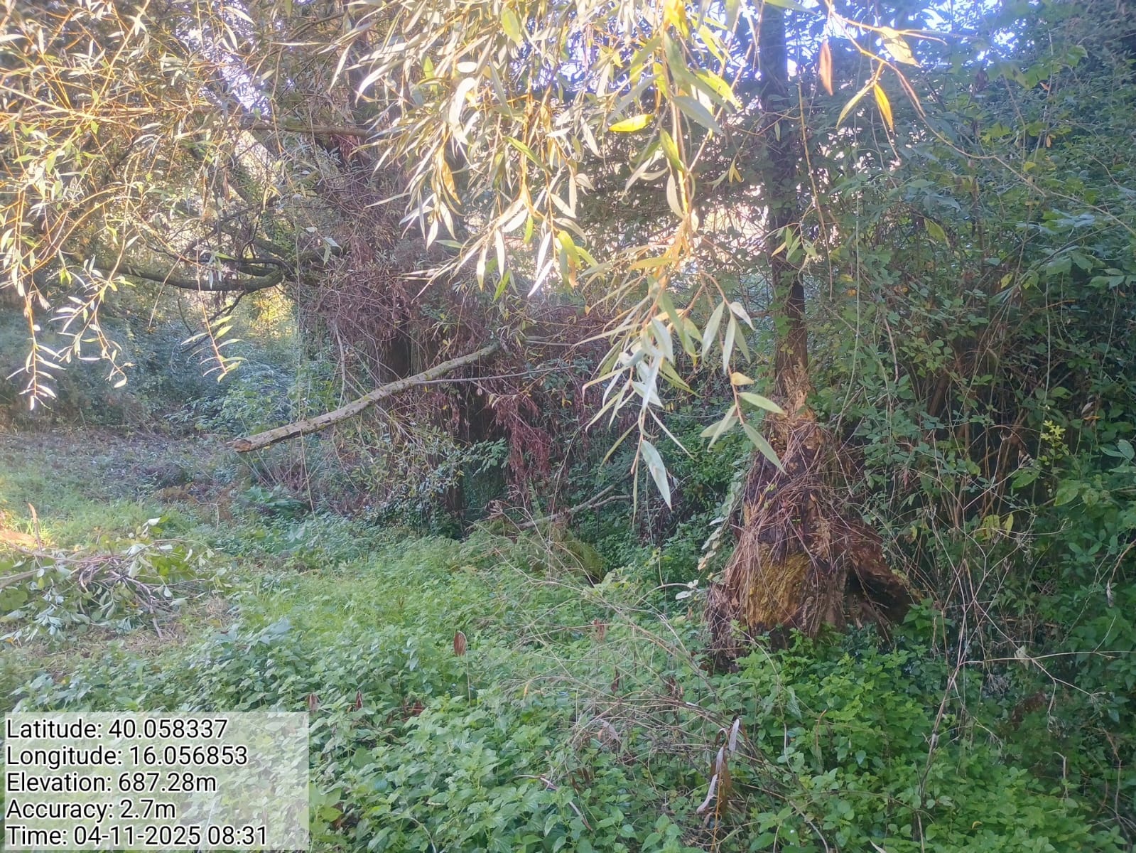 Galleria Fotografica Immagine