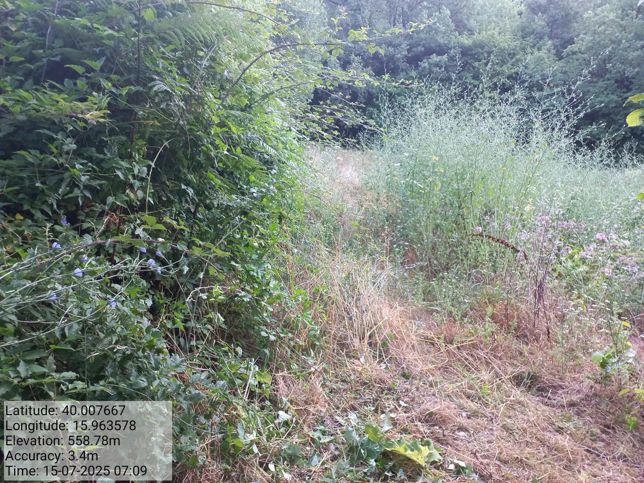 Galleria Fotografica Immagine