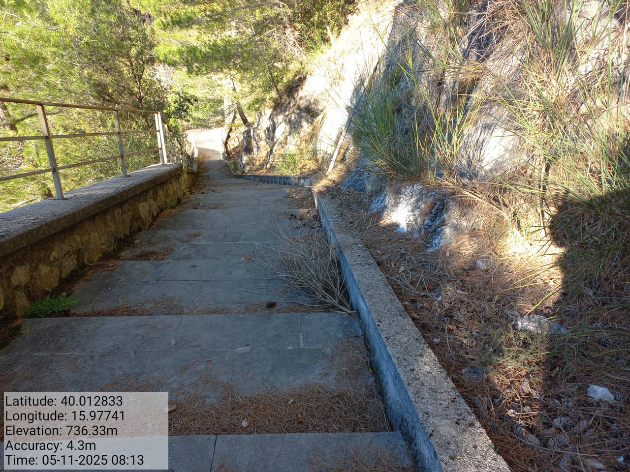 Galleria Fotografica Immagine